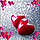 Shelly P.