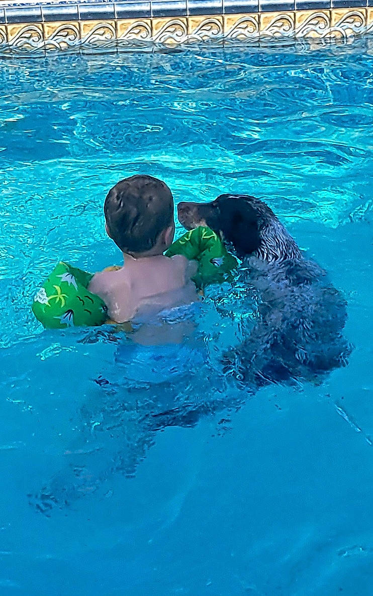 Bear is registered to the contest to win money with this photo: aqua, azure, baby, child, fun, hair, happy, leisure, leisure_centre, ocean, recreation, swimming_pool, toddler, water, wave