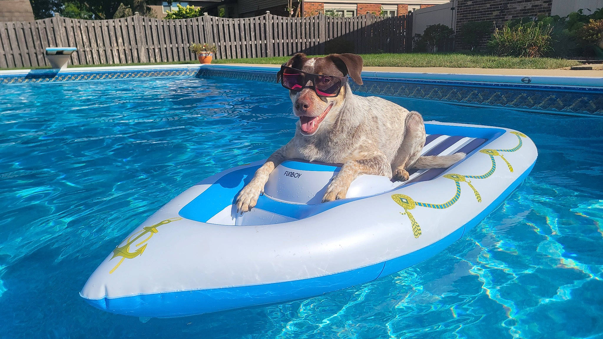 Bear is registered to the contest to win money with this photo: aqua, azure, boat, boats_and_boating_equipment_and_supplies, event, fun, goggles, leisure, nonbuilding_structure, outdoor_recreation, plant, recreation, summer, sunglasses, swimming_pool, vacation, vehicle, water, water_transportation, watercraft