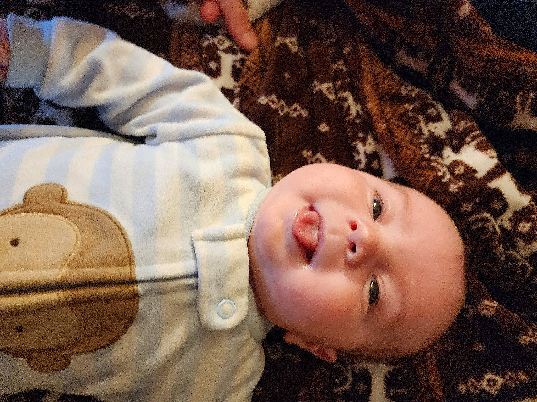 Dennis is registered to the contest to win money with this photo: baby, baby_toddler_clothing, cheek, child, comfort, eye, face, happy, head, headwear, human_body, mammal, mouth, nose, organ, person, plant, skin, smile, toddler