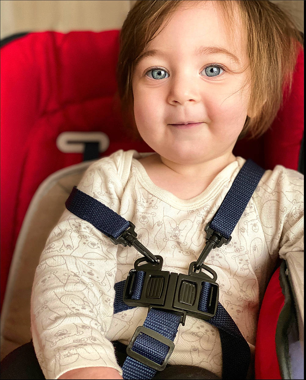 Daenerys participe au concours pour gagner de l'argent avec cette photo : baby, baby_carriage, baby_products, cheek, child, person, product, seat_belt, sitting, skin, smile, toddler