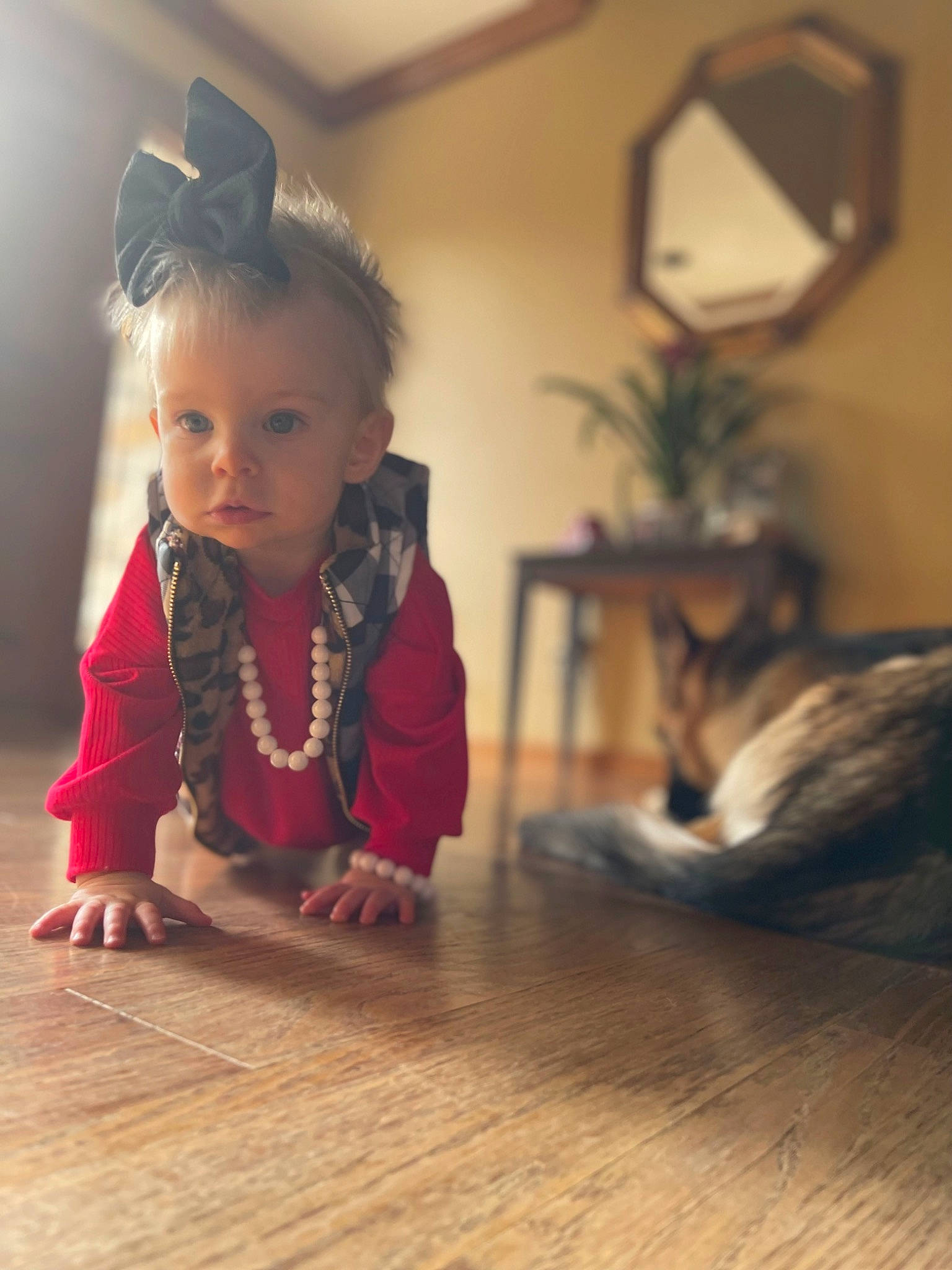 Jocelyn joined the competition — help win amazing prizes! baby_toddler_clothing, carnivore, cat, child, crawling, dress, felidae, flooring, happy, hardwood, houseplant, laminate_flooring, person, picture_frame, plant, room, sitting, sunglasses, toddler, wood