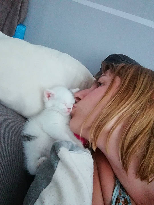 Stuart a rejoint le concours — aidez-le/la à gagner de superbes lots ! bichon, canidae, carnivore, cat, child, companion_dog, dog_breed, ear, leg, mouth, nap, non_sporting_group, nose, puppy, puppy_love, skin