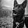 Blacky