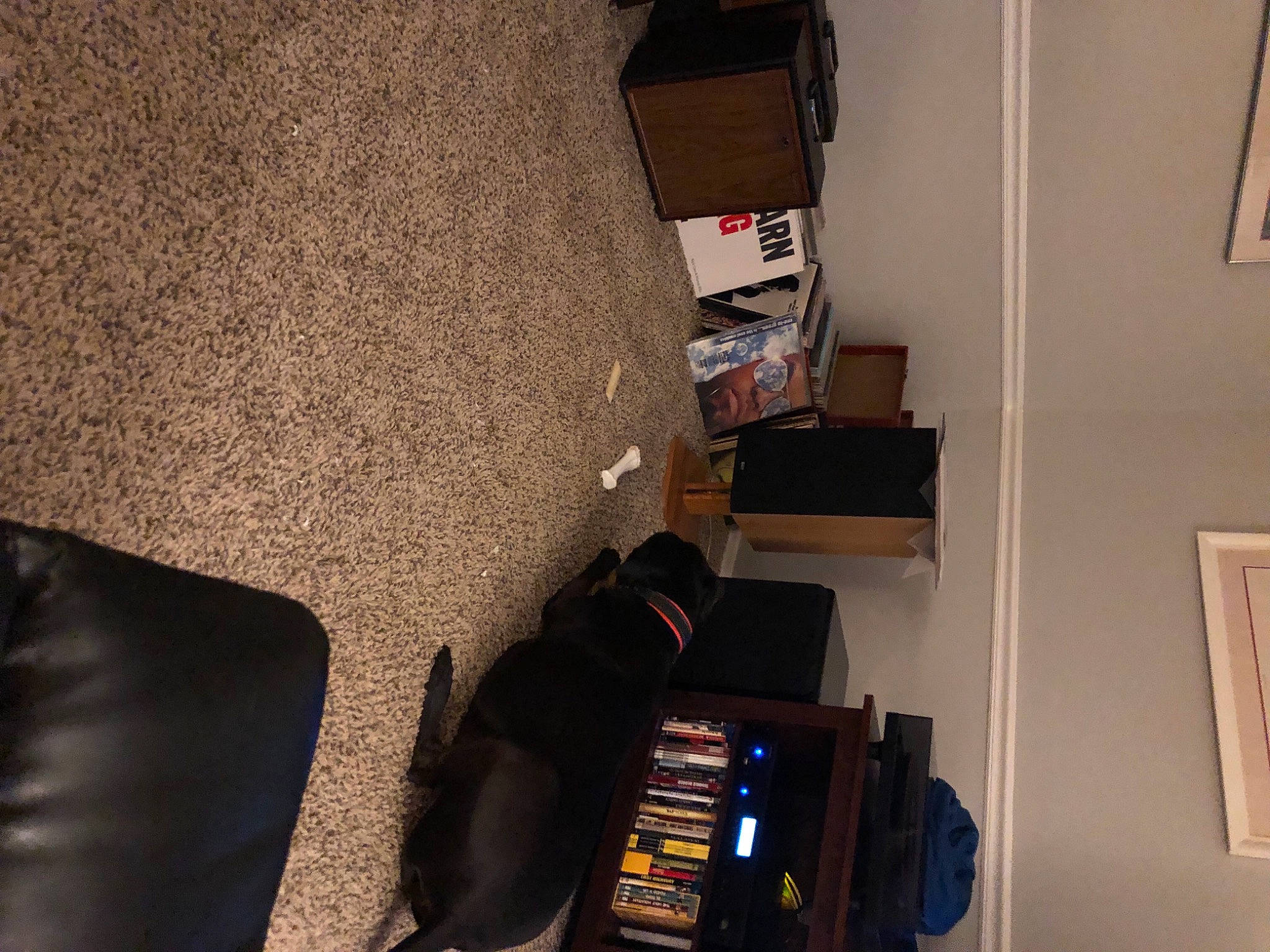 Marcie joined the competition — help win amazing prizes! armrest, audio_equipment, building, chair, comfort, couch, flooring, gadget, hardwood, house, living_room, luggage_and_bags, machine, multimedia, picture_frame, room, shelf, shelving, television_set, wood