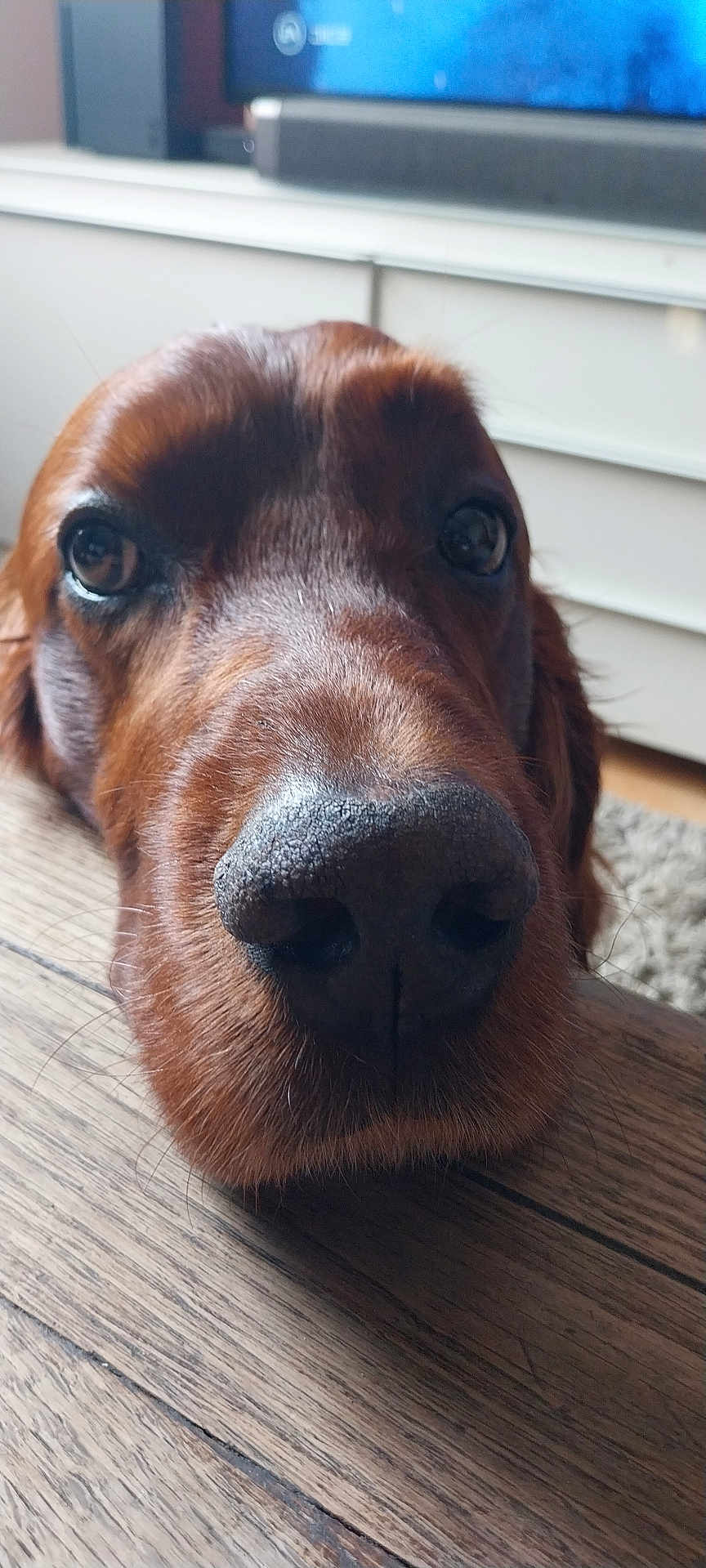 Django
