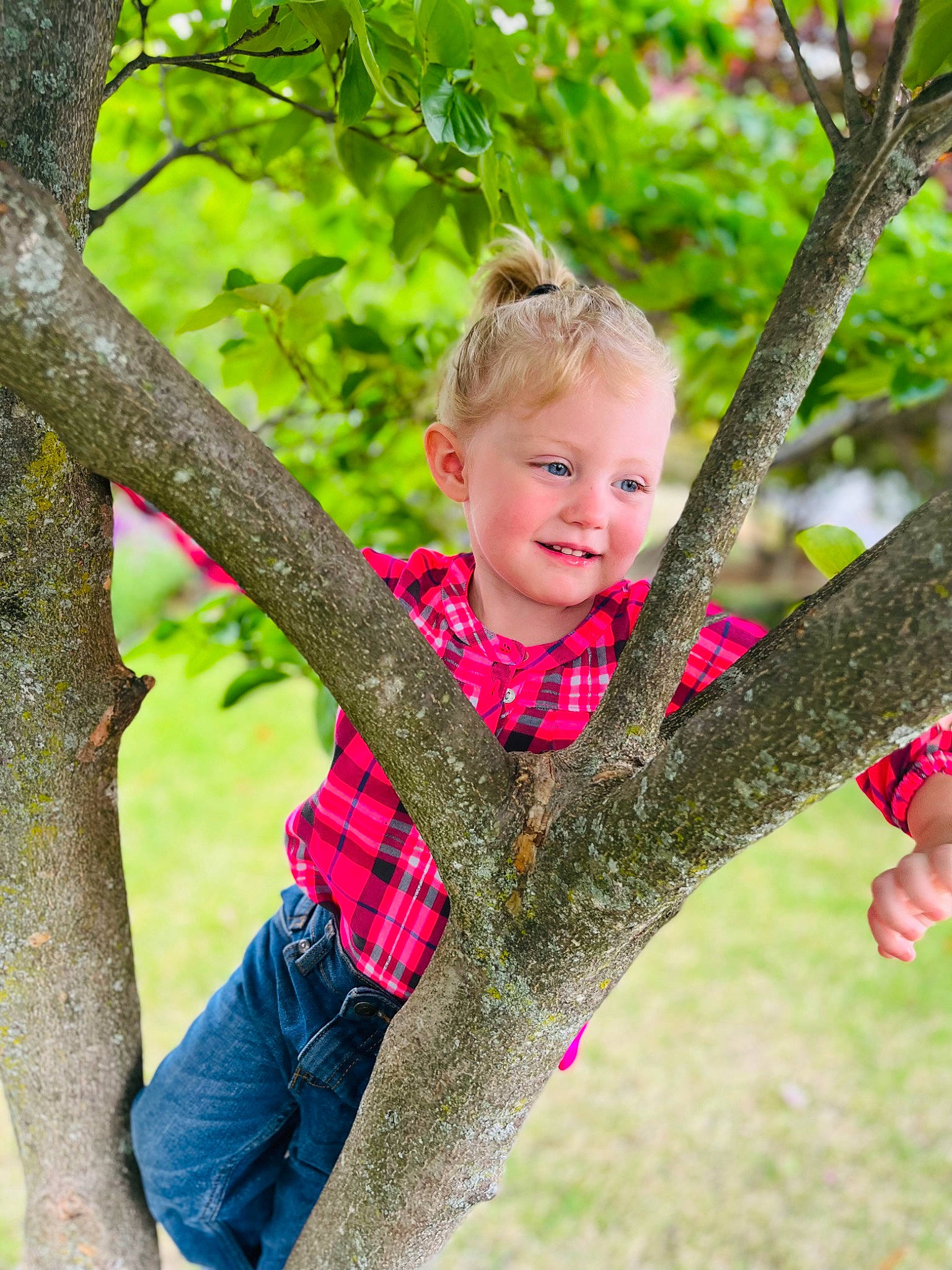Normaraine joined the competition — help win amazing prizes! branch, child, fun, gesture, grass, happy, joy, leisure, people_in_nature, person, plaid, plant, plant_stem, play, recreation, smile, spring, toddler, tree, trunk