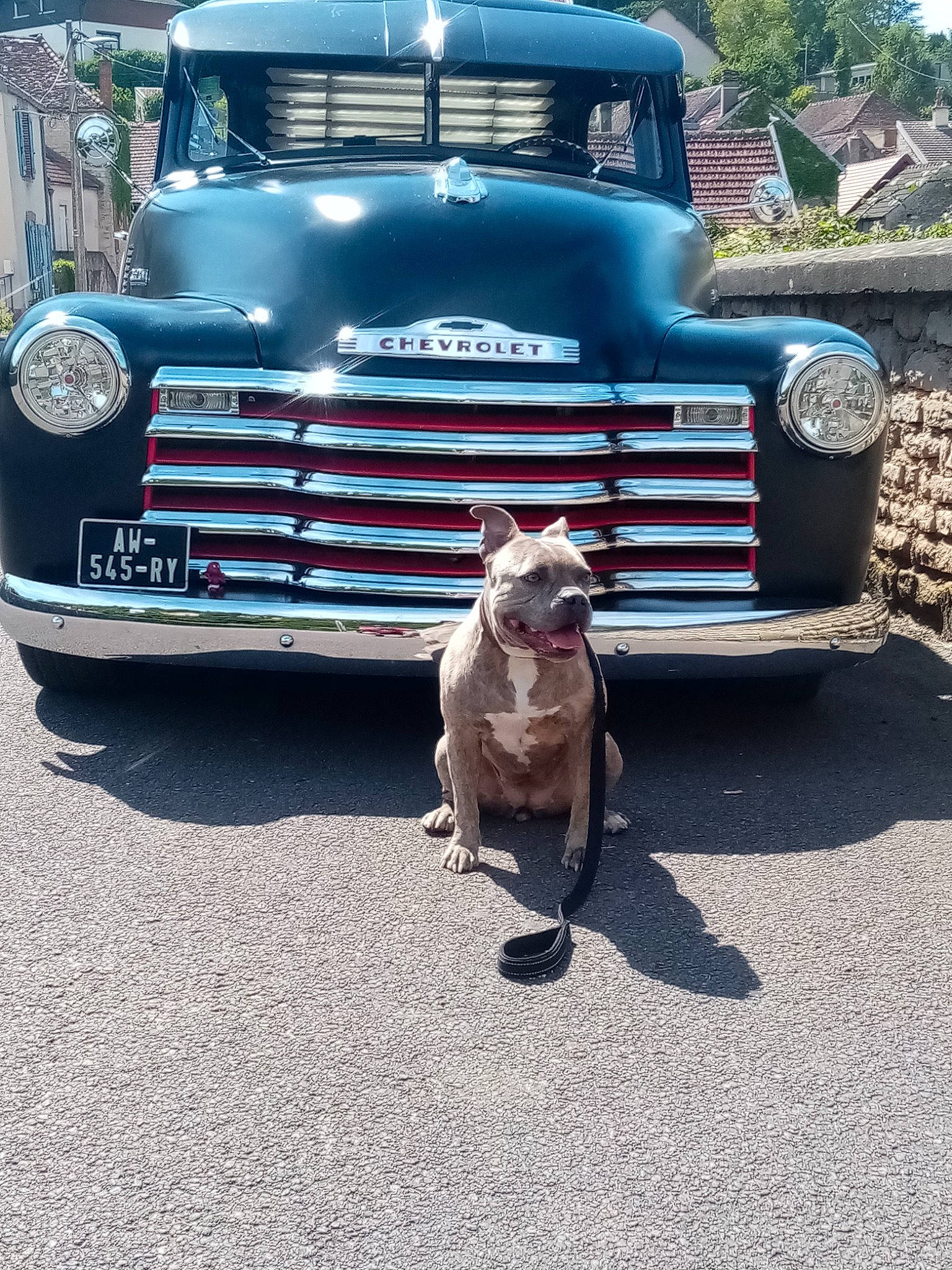 Oly participe au concours pour gagner de l'argent avec cette photo : asphalt, automotive_design, automotive_exterior, automotive_lighting, automotive_tire, automotive_wheel_system, bumper, car, fender, grille, headlamp, hood, land_vehicle, mode_of_transport, motor_vehicle, plant, tire, vehicle, vehicle_registration_plate, wheel