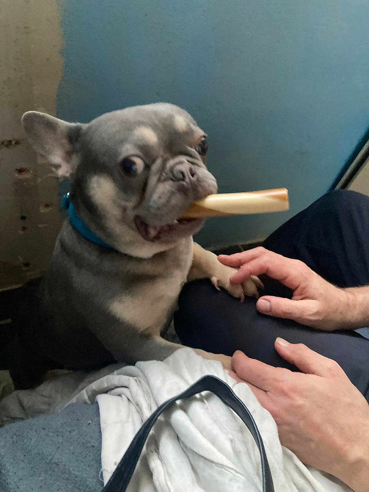 Reggie