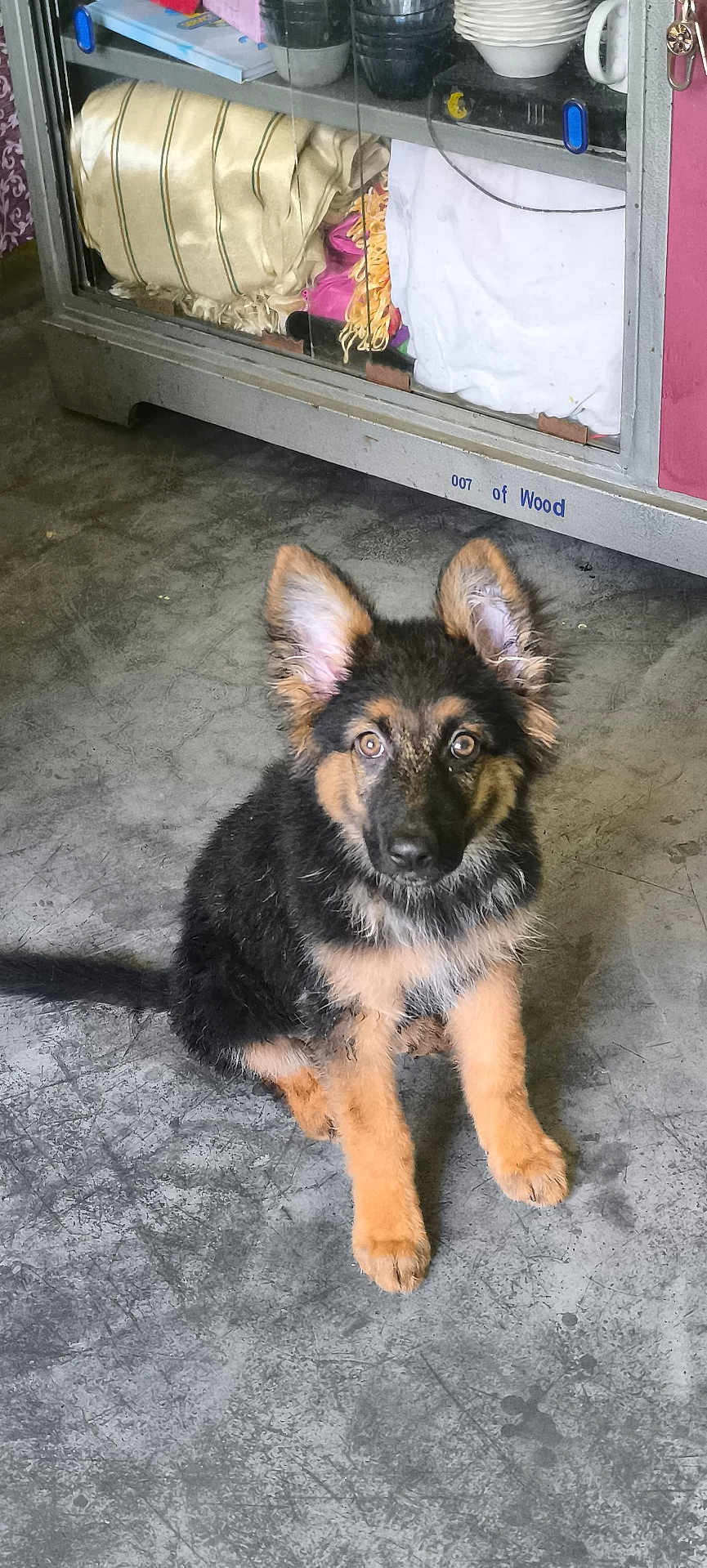 Luna