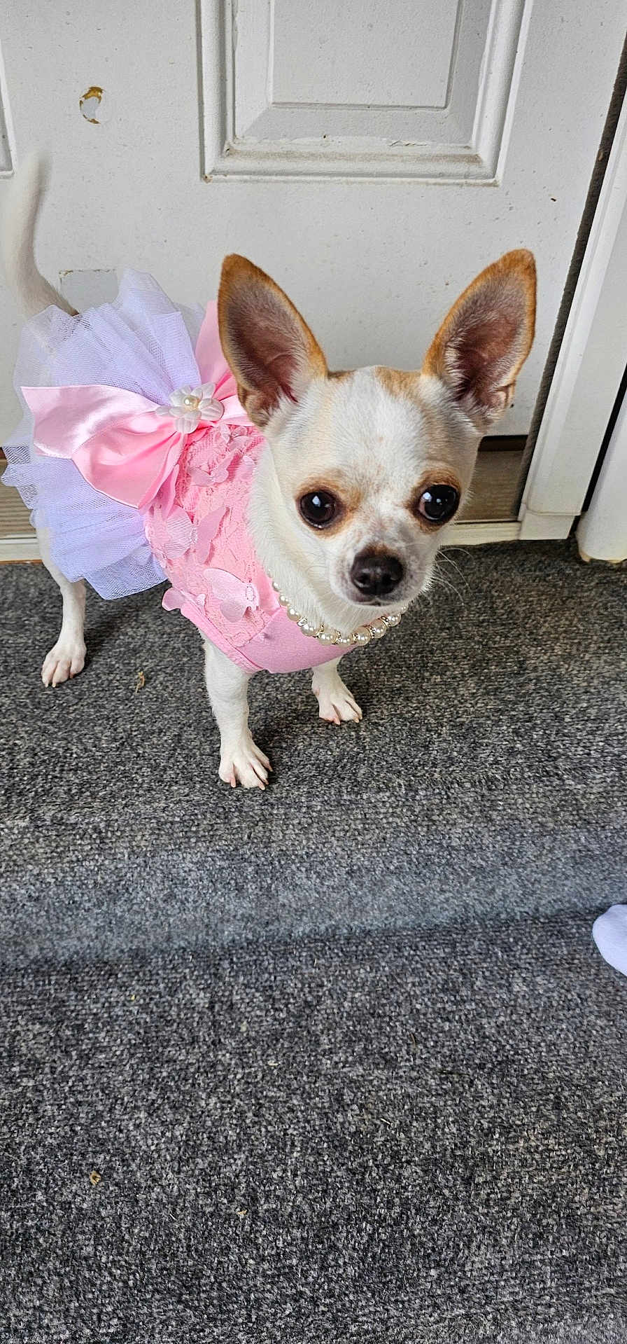 Lulu