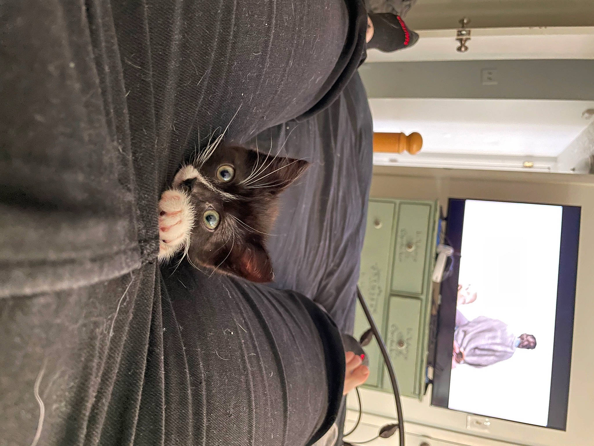 Bean is registered to the contest to win money with this photo: automotive_tire, automotive_wheel_system, bat, black_hair, curtain, denim, eyewear, fashion_accessory, formal_wear, fur, grey, hat, helmet, leather, personal_protective_equipment, room, sleeve, sunglasses, vehicle_door, waist