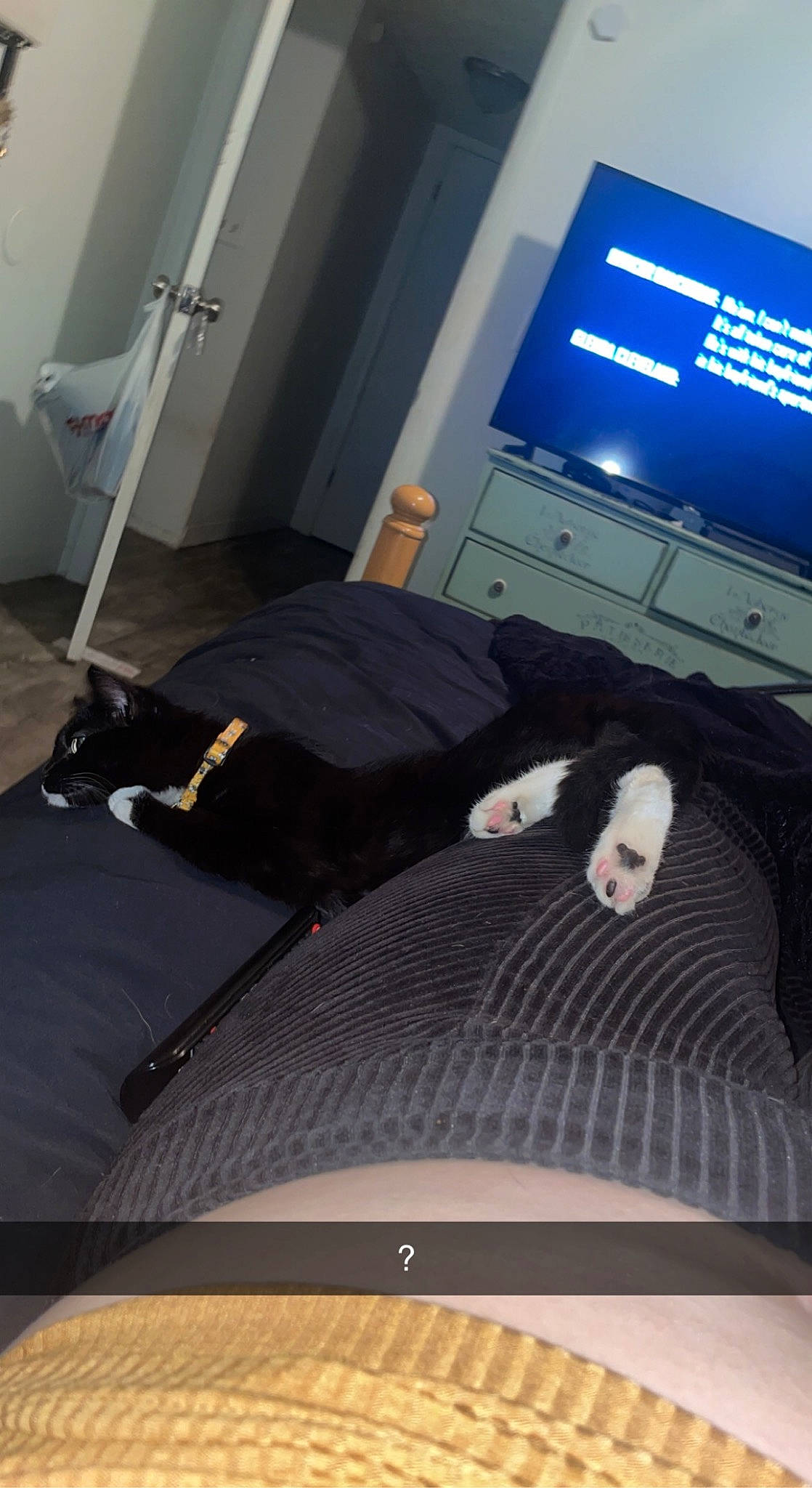 Bean is registered to the contest to win money with this photo: audio_equipment, automotive_design, automotive_exterior, automotive_tire, comfort, couch, desktop_computer, display_device, floor, flooring, gadget, hardwood, interior_design, living_room, output_device, room, studio_couch, television, television_set, wood