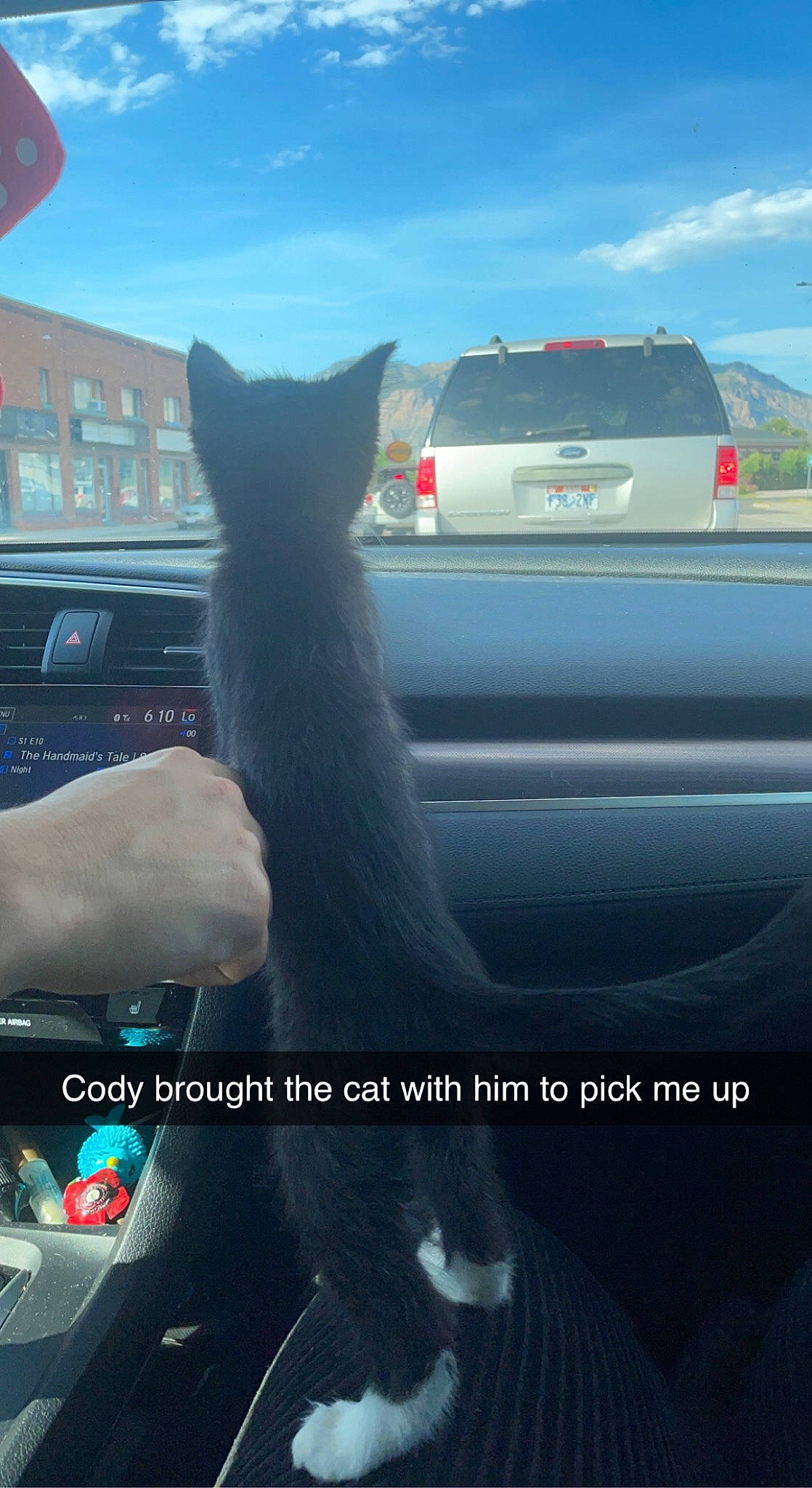 Bean joined the competition — help win amazing prizes! automotive_design, automotive_exterior, automotive_lighting, automotive_mirror, automotive_tire, car, cat, cloud, gesture, hand, hood, mode_of_transport, motor_vehicle, personal_luxury_car, rear_view_mirror, sky, tints_and_shades, vehicle, vehicle_door, window