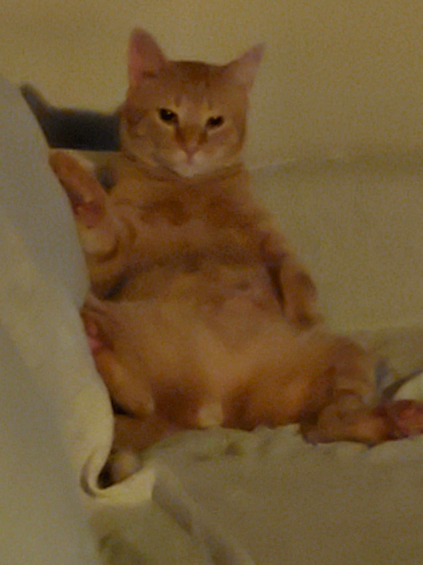 Oliver