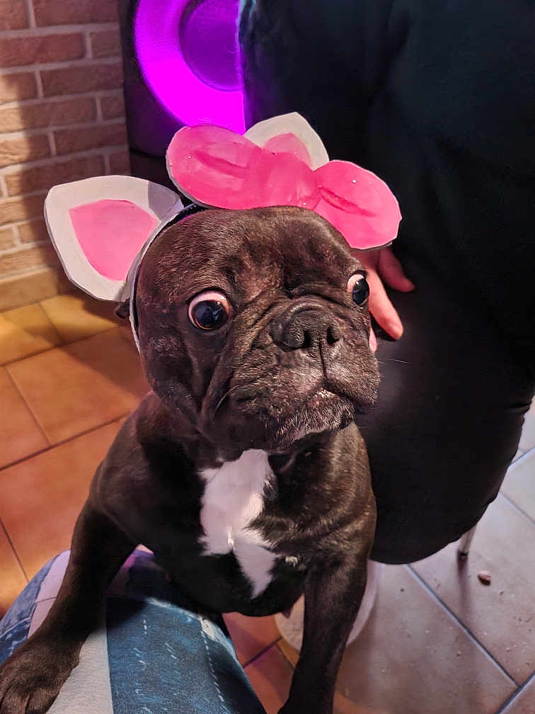 Nala Alias Pépètes