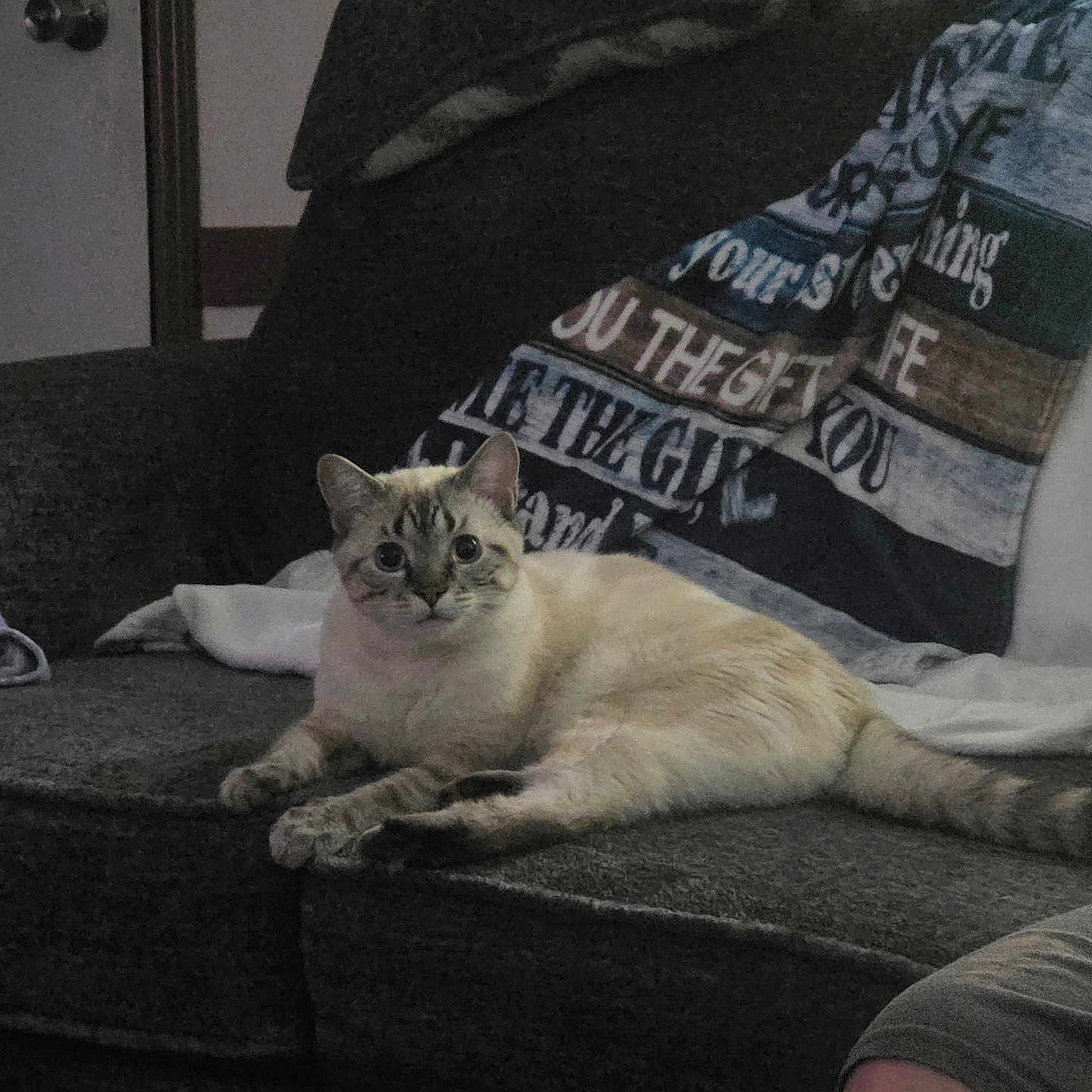 Spot