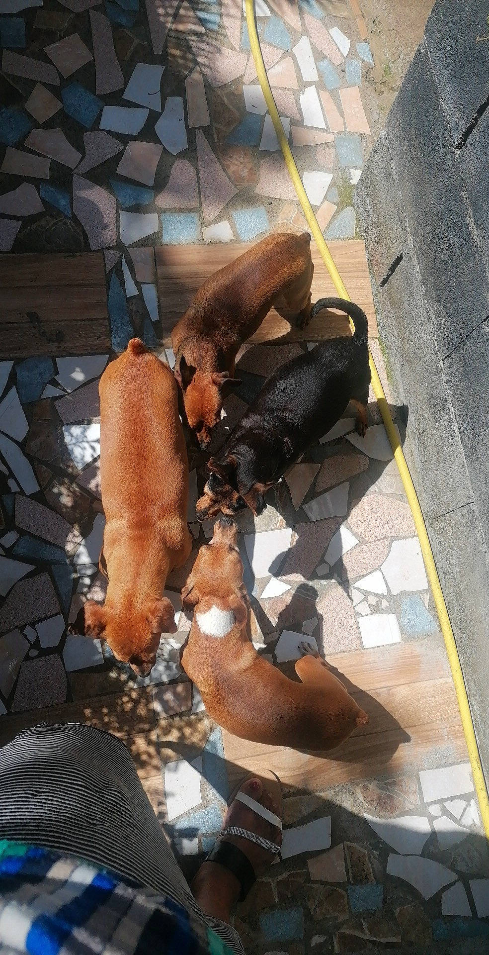 Miska participe au concours pour gagner de l'argent avec cette photo : art, barechested, bronze, bronze_sculpture, event, flooring, foot, human_leg, metal, pedestrian, road_surface, sculpture, shadow, sidewalk, sitting, street, thigh, visual_arts