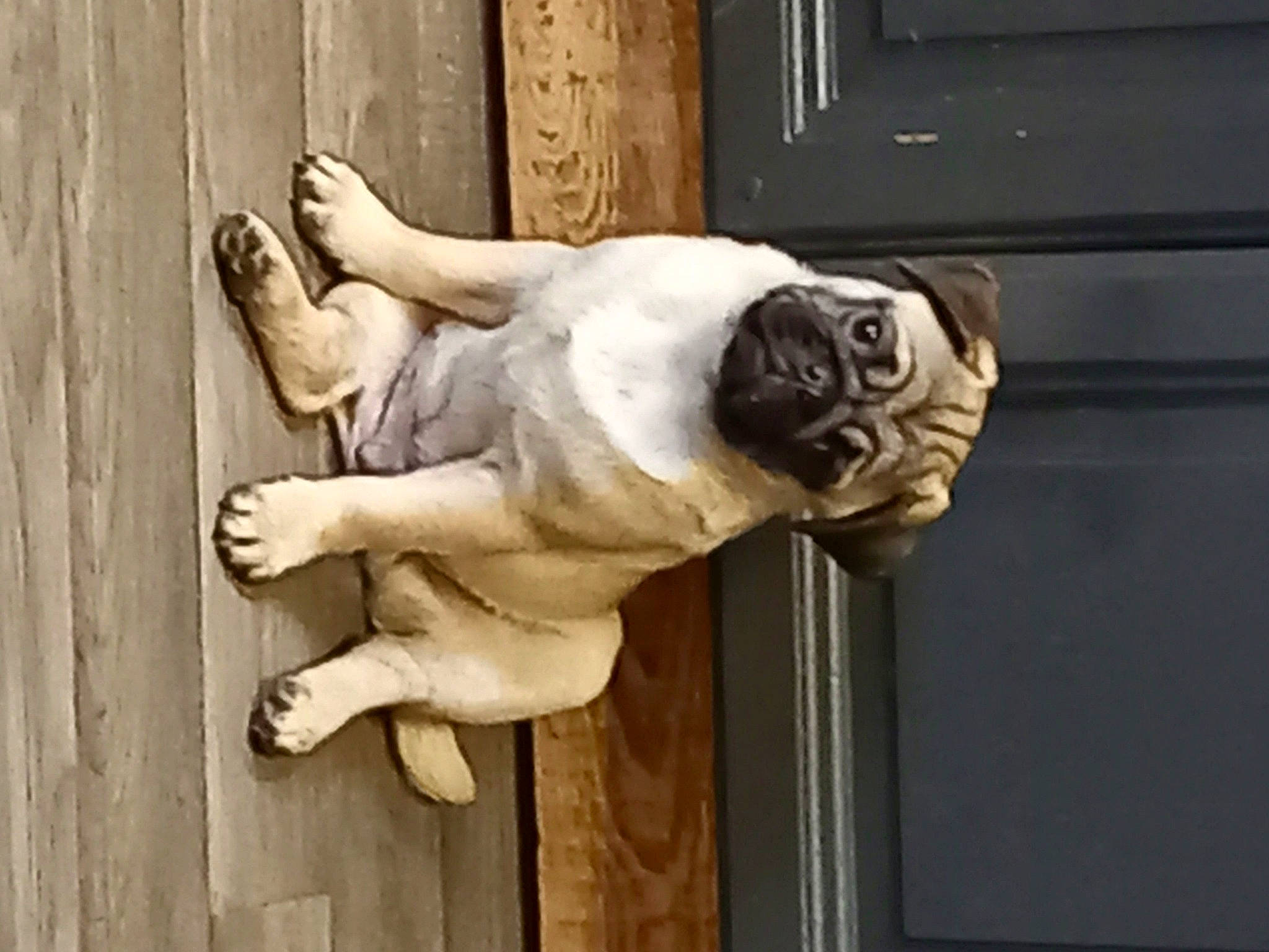 Sky a rejoint le concours — aidez-le/la à gagner de superbes lots ! art, carnivore, companion_dog, dog, dog_breed, door, fawn, foot, head, human_body, human_leg, monument, sculpture, snout, sporting_group, statue, tail, window, wood, wrinkle