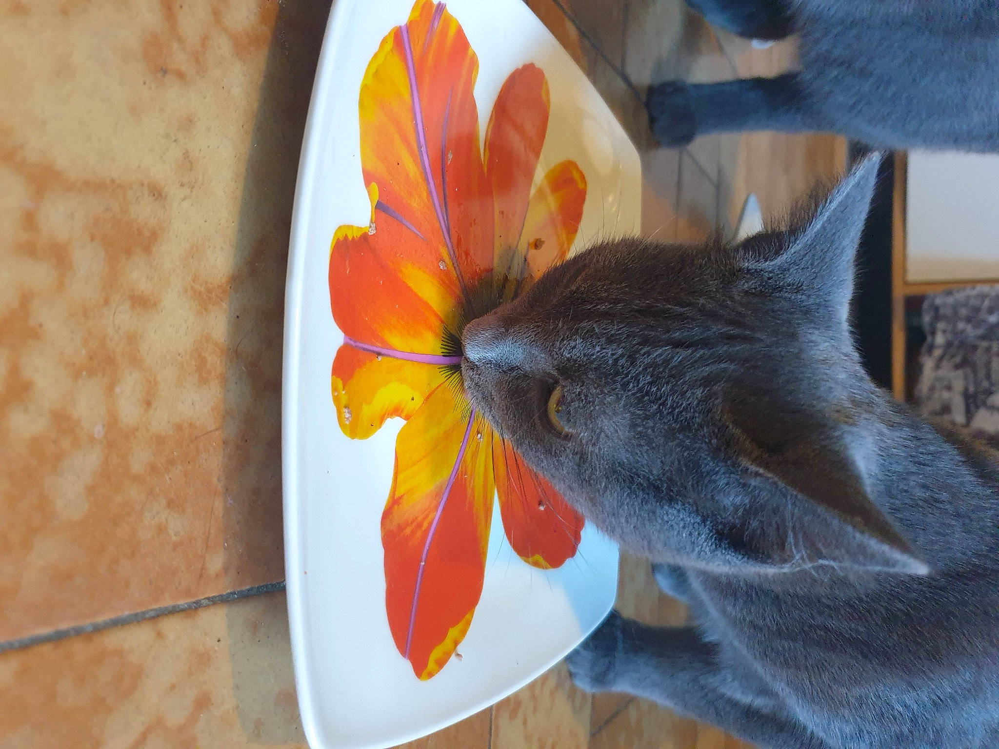 Rock a rejoint le concours — aidez-le/la à gagner de superbes lots ! art, automotive_wheel_system, carmine, cut_flowers, denim, fashion_accessory, flooring, flower, flowering_plant, fur, houseplant, orange, pattern, petal, plant, room, table, thread, wool, woolen