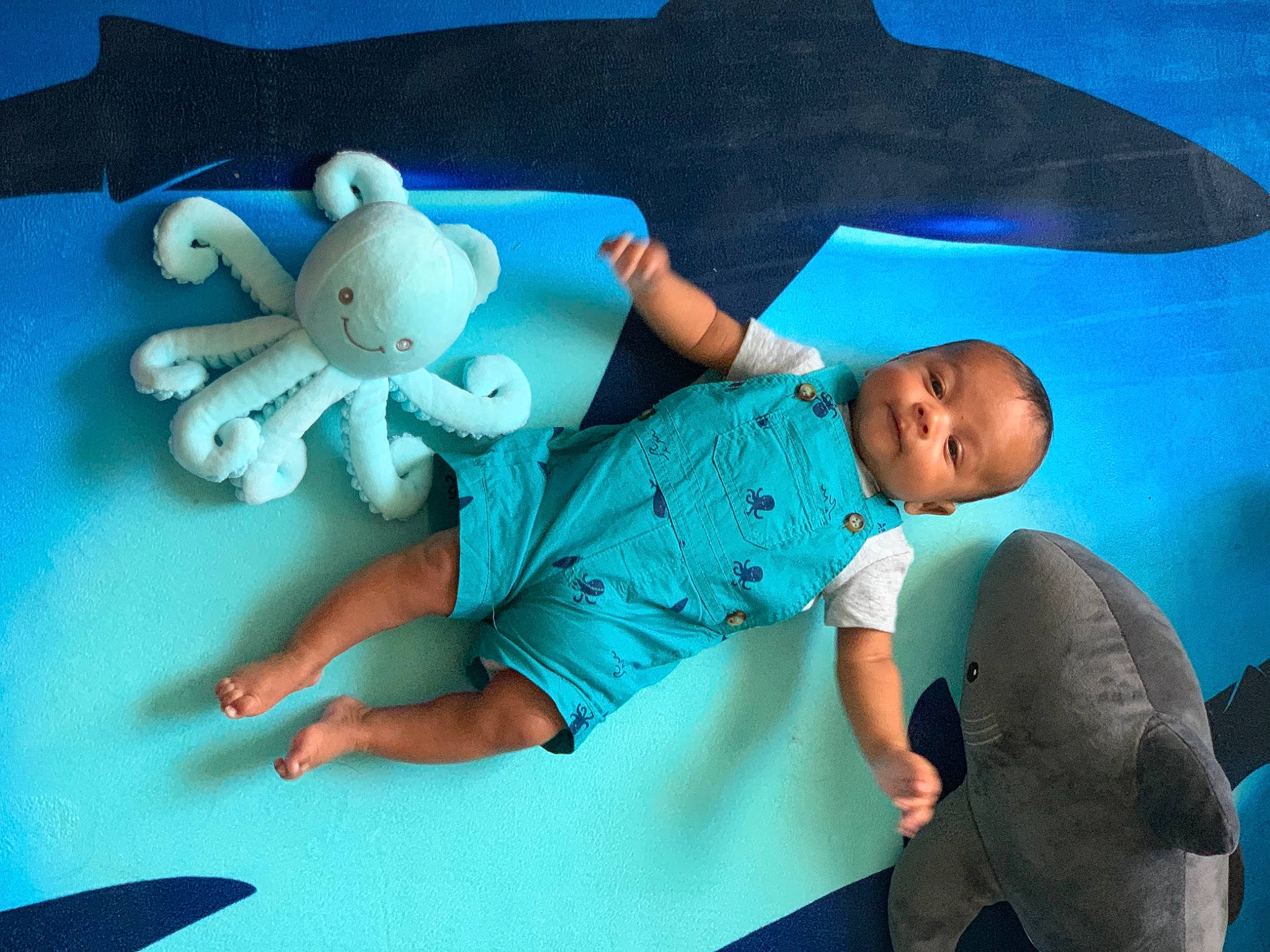 Zakai joined the competition — help win amazing prizes! baby, baby_products, baby_toddler_clothing, bed, blue, comfort, doll, electric_blue, fun, green, happy, leisure, linens, person, plush, product, room, stuffed_toy, t_shirt, toddler