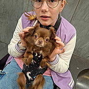 Grisou participe au concours pour gagner de l'argent avec cette photo : person, dog, glasses, jacket, purple, brown_dog, unicorn_print, black_outfit, jeans, sitting, indoor, casual, pet, small_dog, hand, face, expression, wall, bench, earrings