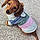 Roxy