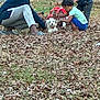 autumn, casual_clothing, childhood, children, crouching, daytime, dog, family, friendship, fun, grass, happy, leaves, nature, outdoor, park, pet, playing, smiling, white_dog