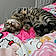 Astrid