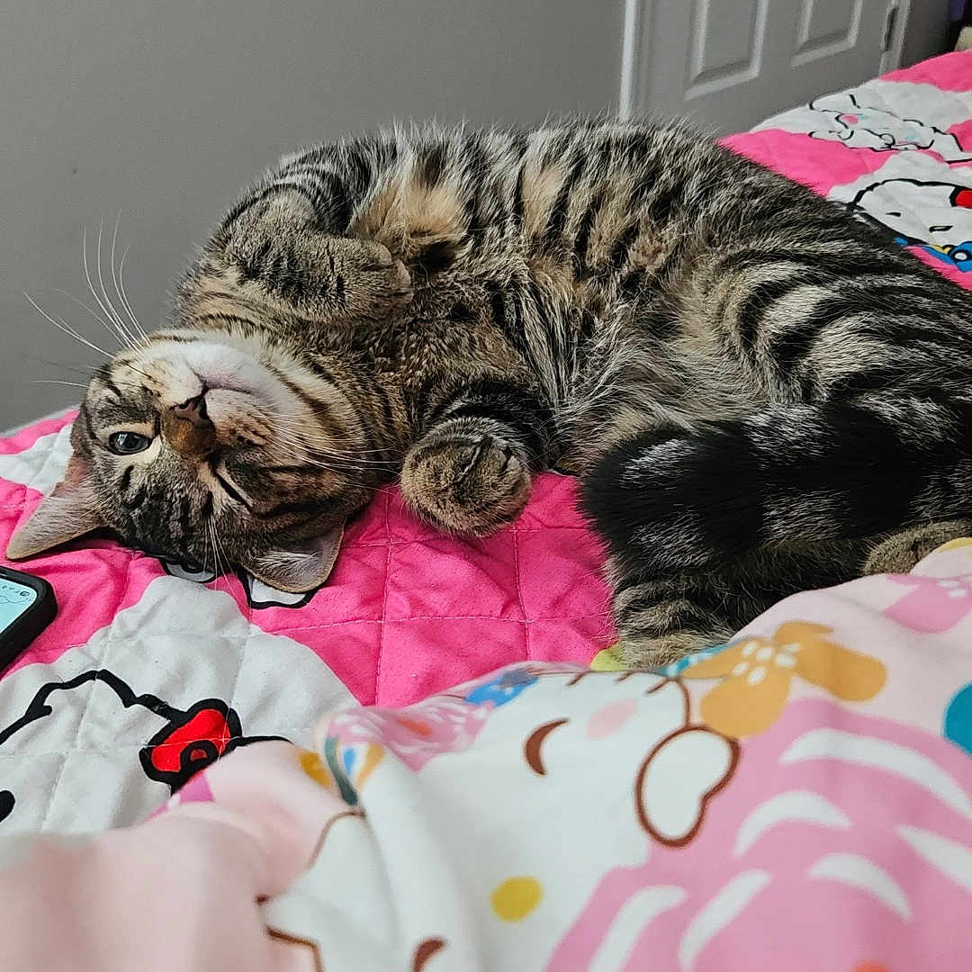 Astrid