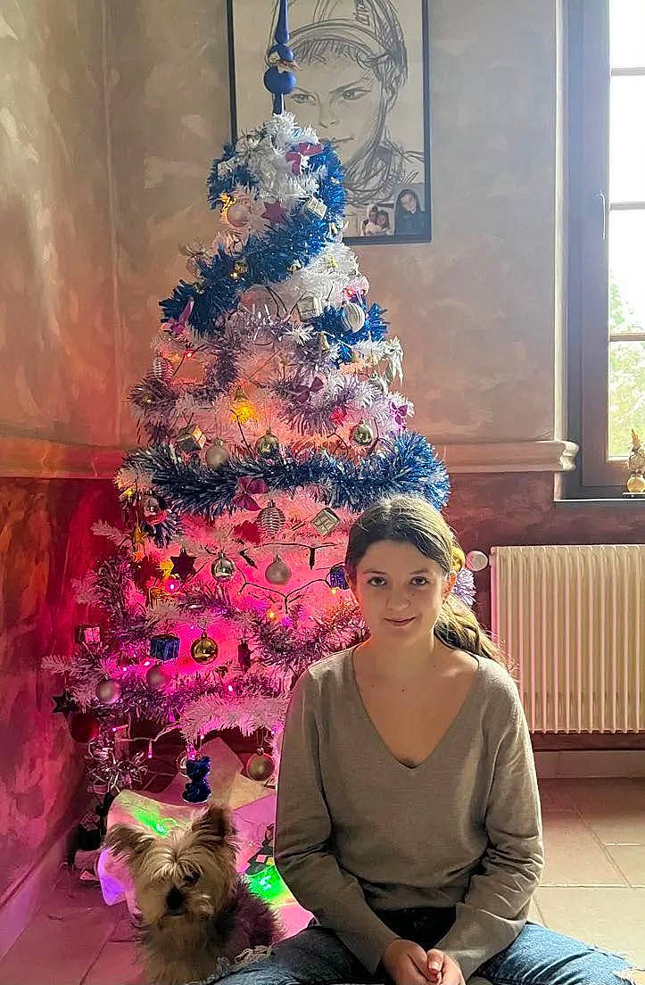 Inès a rejoint le concours — aidez-le/la à gagner de superbes lots ! blue, carnivore, christmas_decoration, christmas_ornament, christmas_tree, dog, evergreen, fawn, fun, green, holiday, holiday_ornament, joy, ornament, person, photograph, pink, plant, smile, standing