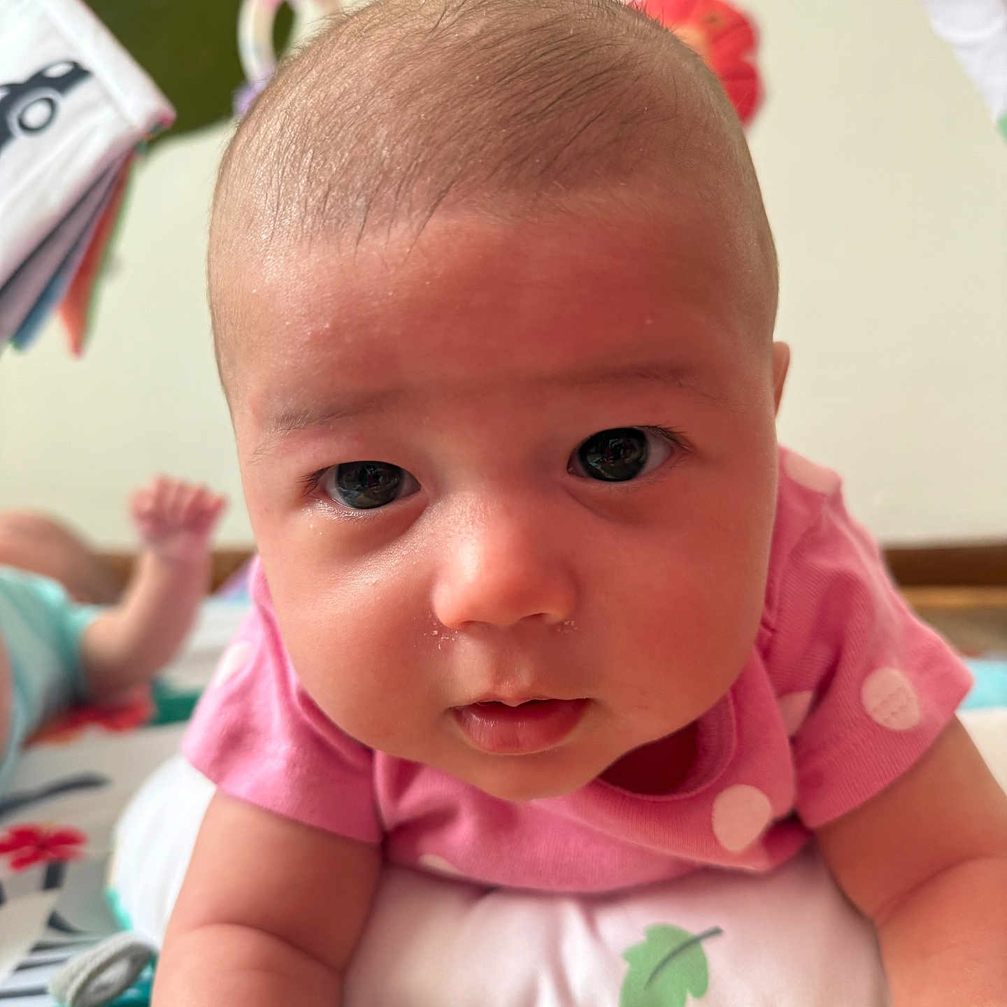 Aliz joined the competition — help win amazing prizes! arm, baby, child, closeup, curious, cute, drool, expression, eyes, face, head, indoor, infant, laying, pink_shirt, play_mat, portrait, skin, toy, young