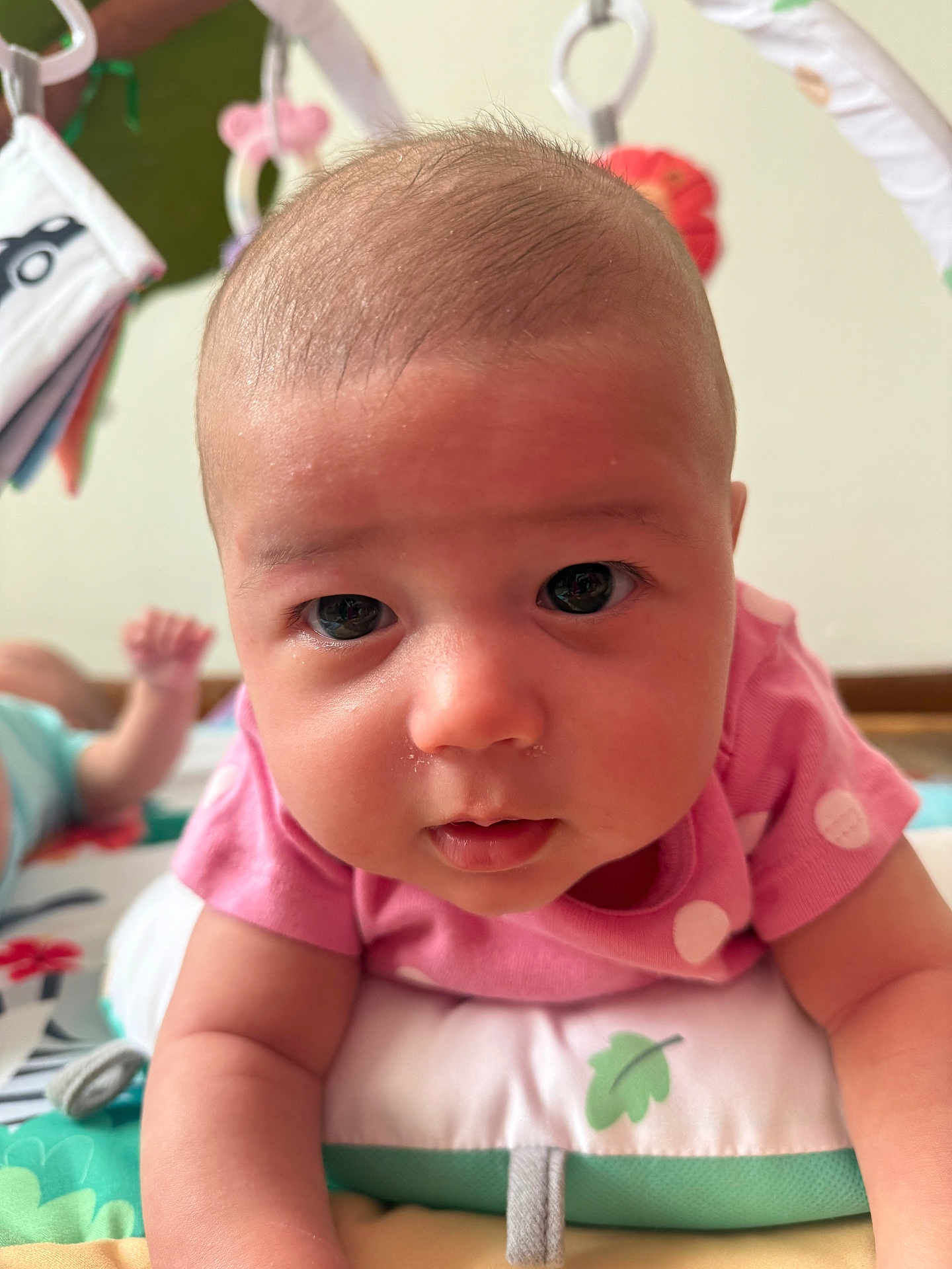 Aliz joined the competition — help win amazing prizes! baby, infant, child, face, eyes, pink_shirt, play_mat, toy, curious, drool, skin, head, arm, indoor, closeup, portrait, cute, expression, young, laying