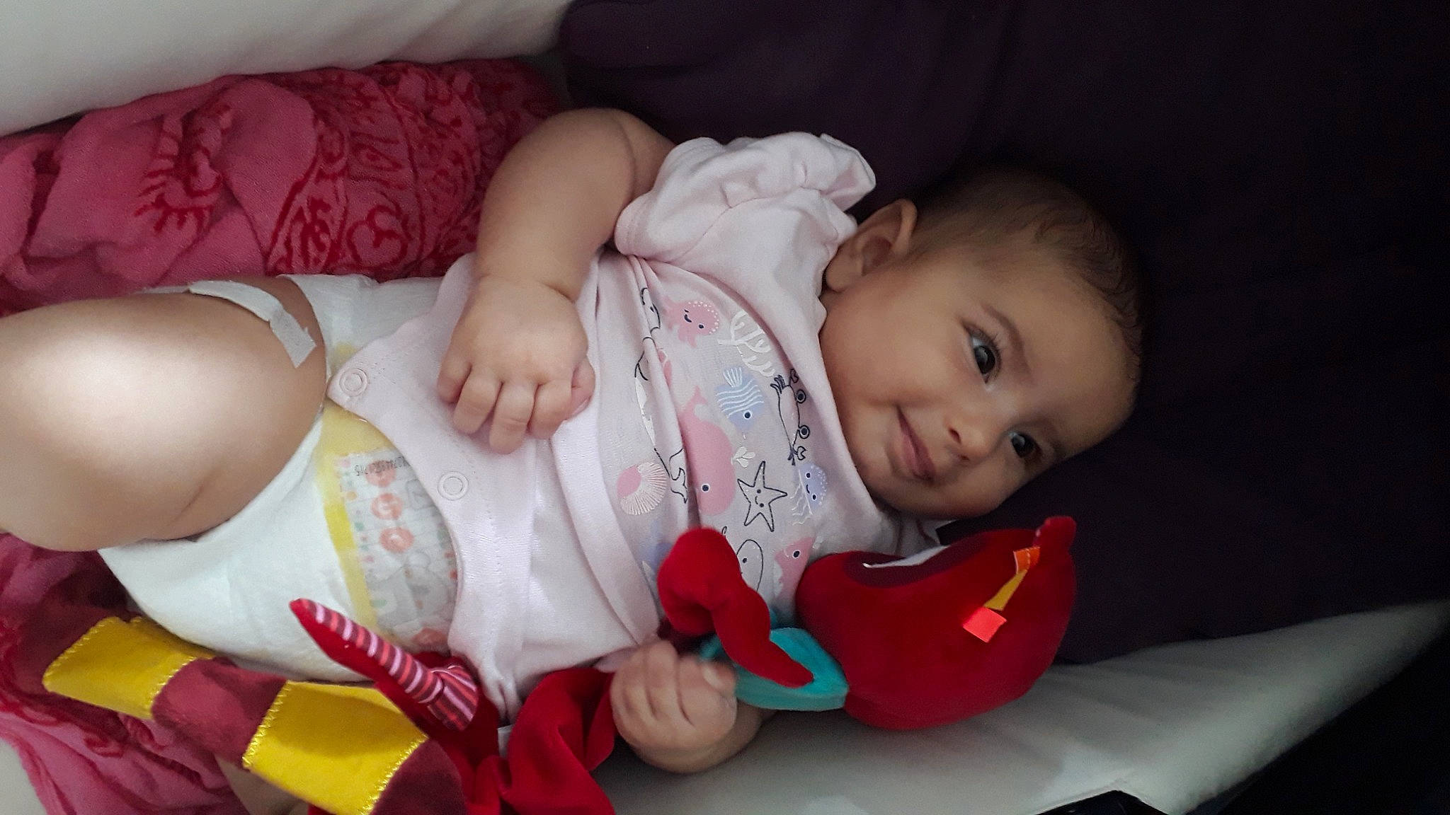 Sheryne participe au concours pour gagner de l'argent avec cette photo : arm, baby, baby_toddler_clothing, cheek, comfort, eye, facial_expression, finger, hand, head, iris, joy, leg, lip, mammal, mouth, nose, person, skin, sleeve