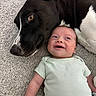 Liam joined the competition — help win amazing prizes! baby, dog, carpet, infant, lying_down, smiling, black_dog, white_dog, onesie, pet, animal, child, friendship, cute, domestic_animal, face, closeup, resting, happy, together