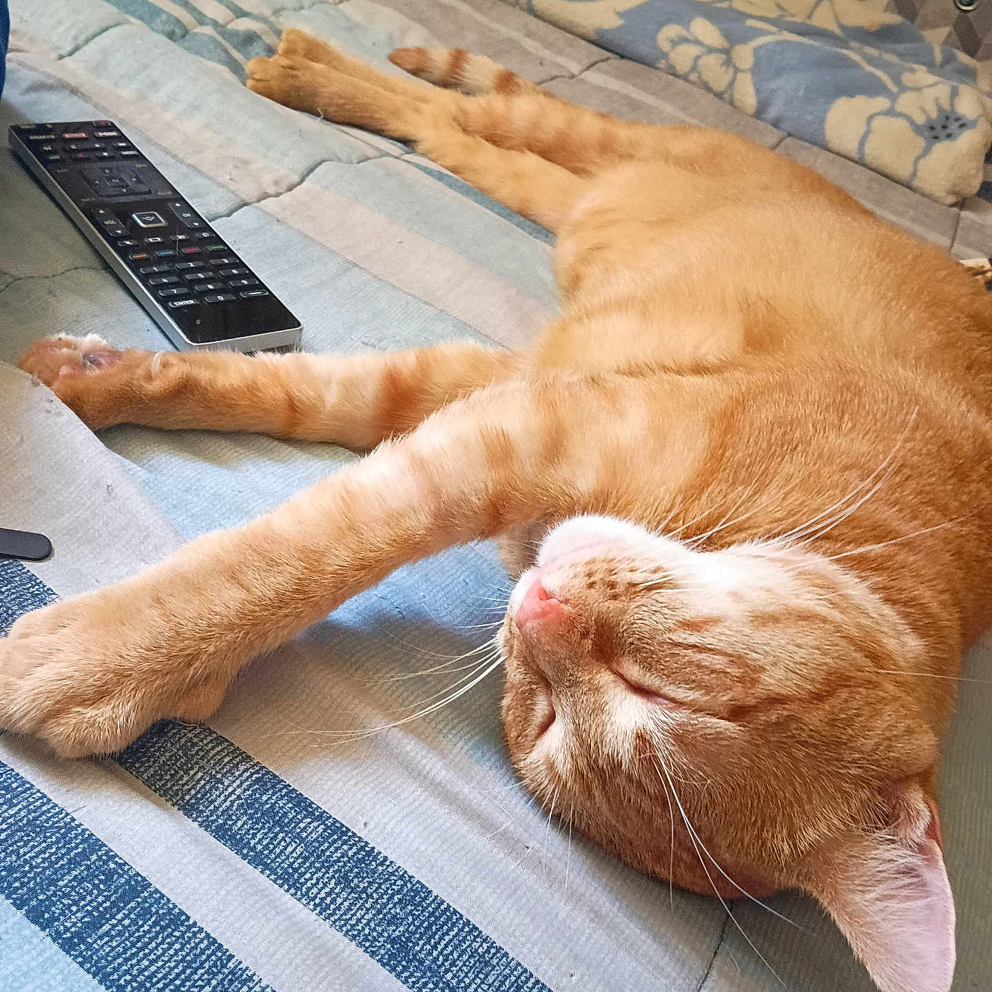 Oliver