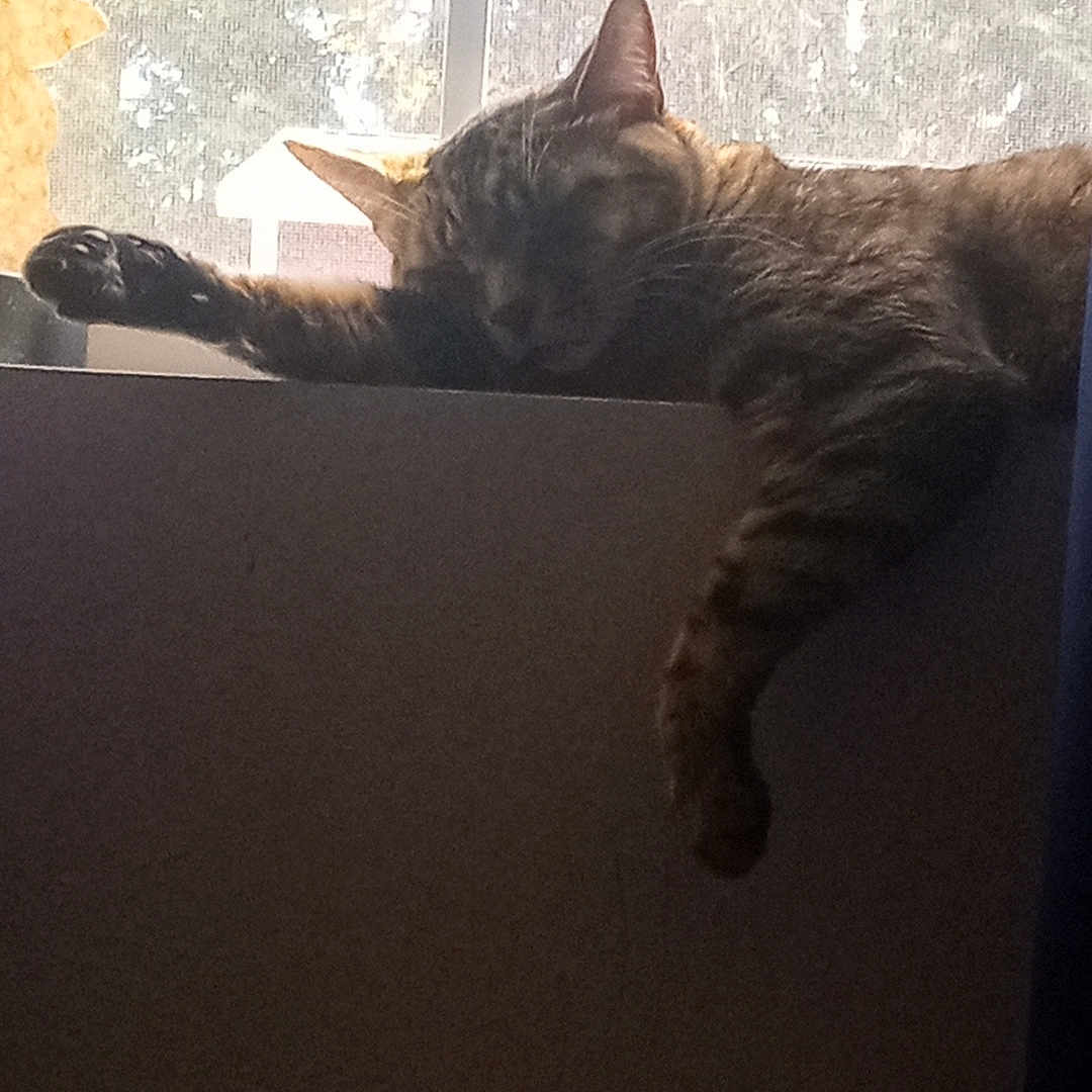 Tigger