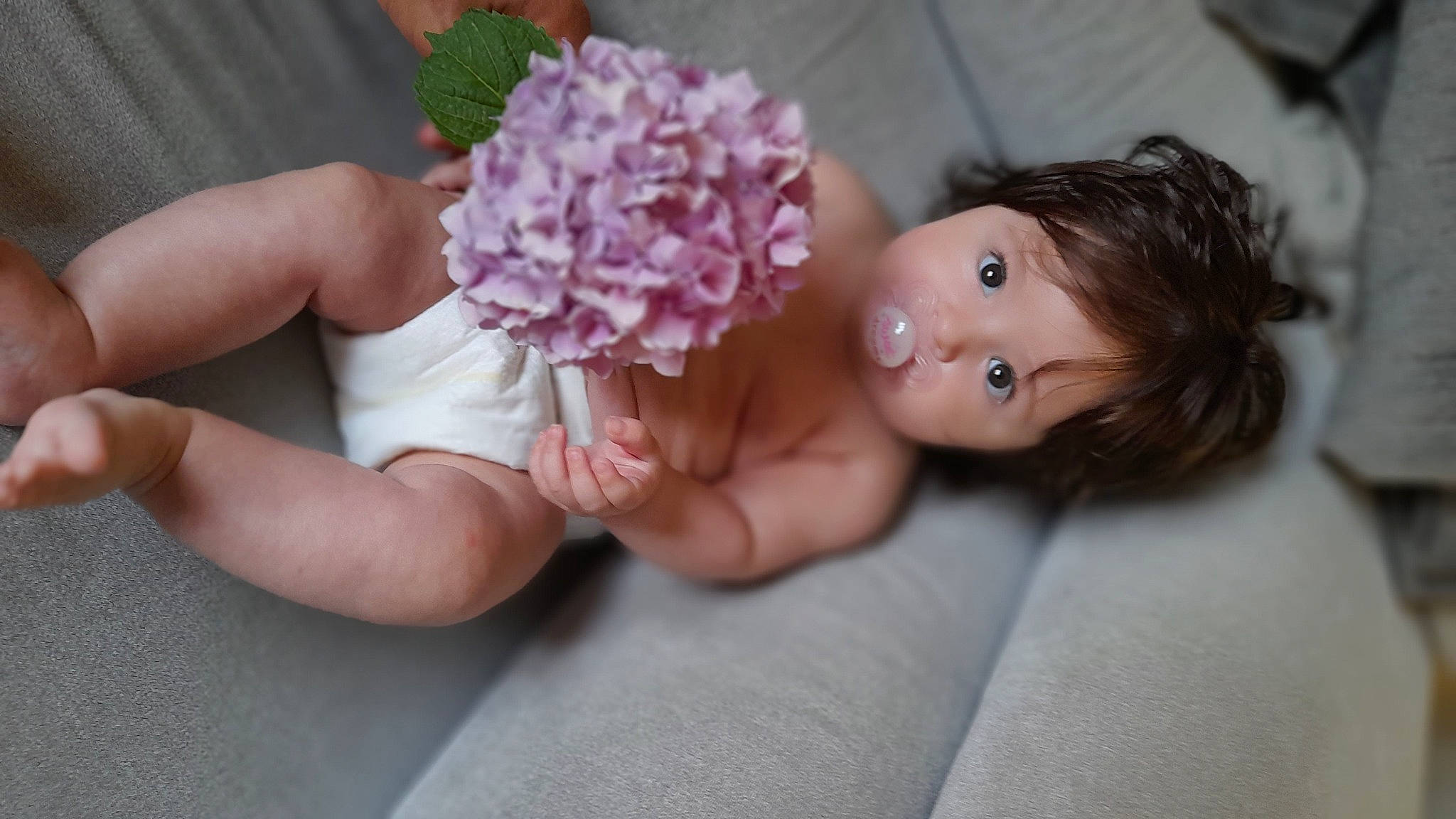 Alba a rejoint le concours — aidez-le/la à gagner de superbes lots ! artificial_flower, child, doll, dress, eyelash, fawn, flower, flower_arranging, gesture, headgear, headpiece, jewellery, nail, person, petal, pink, plant, skin, thumb, toy