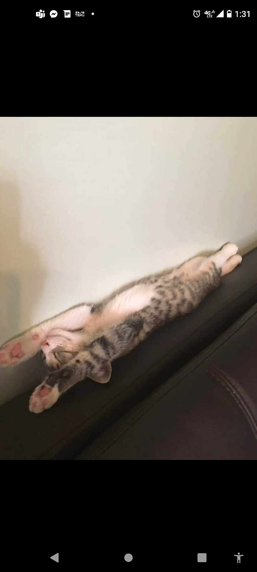 Baby joined the competition — help win amazing prizes! kitten, cat, stretching, sleeping, feline, pet, indoor, couch, relaxation, tabby, whiskers, paw, fur, animal, cute, domestic, resting, sleep, cozy, home
