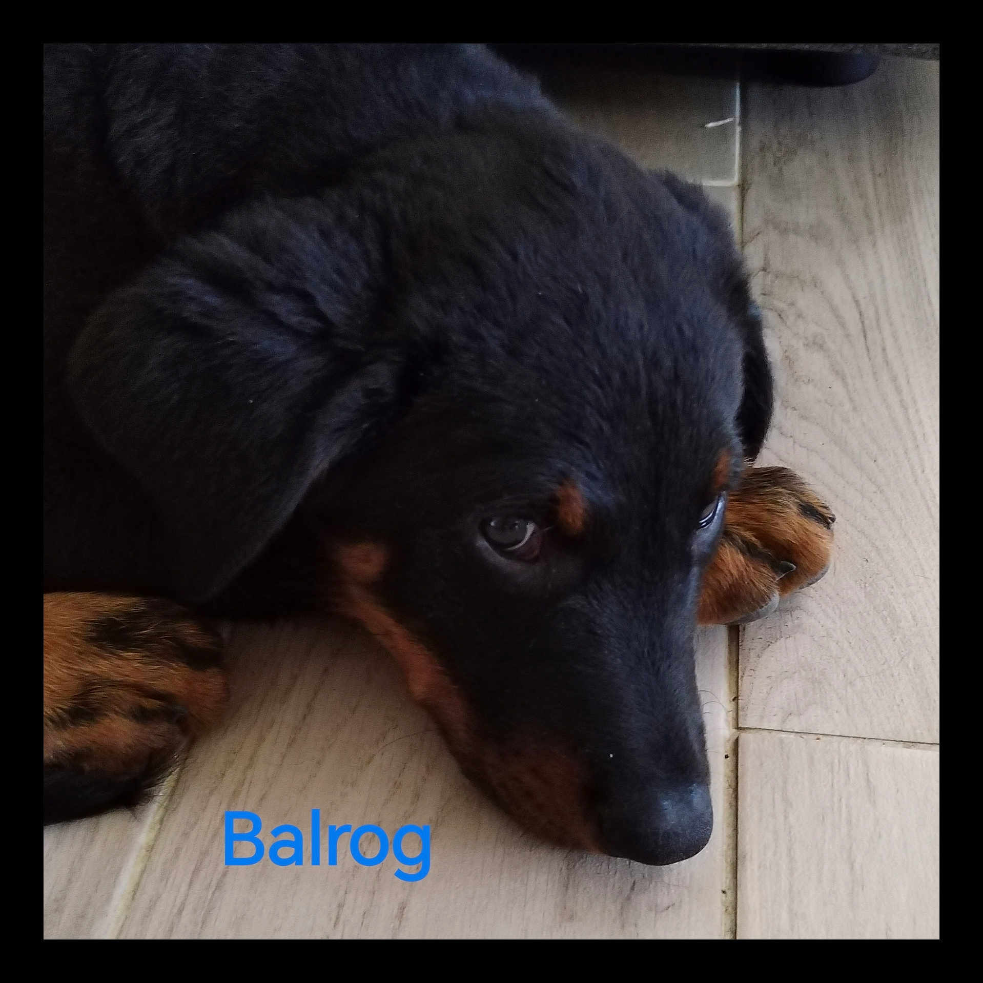 Balrog
