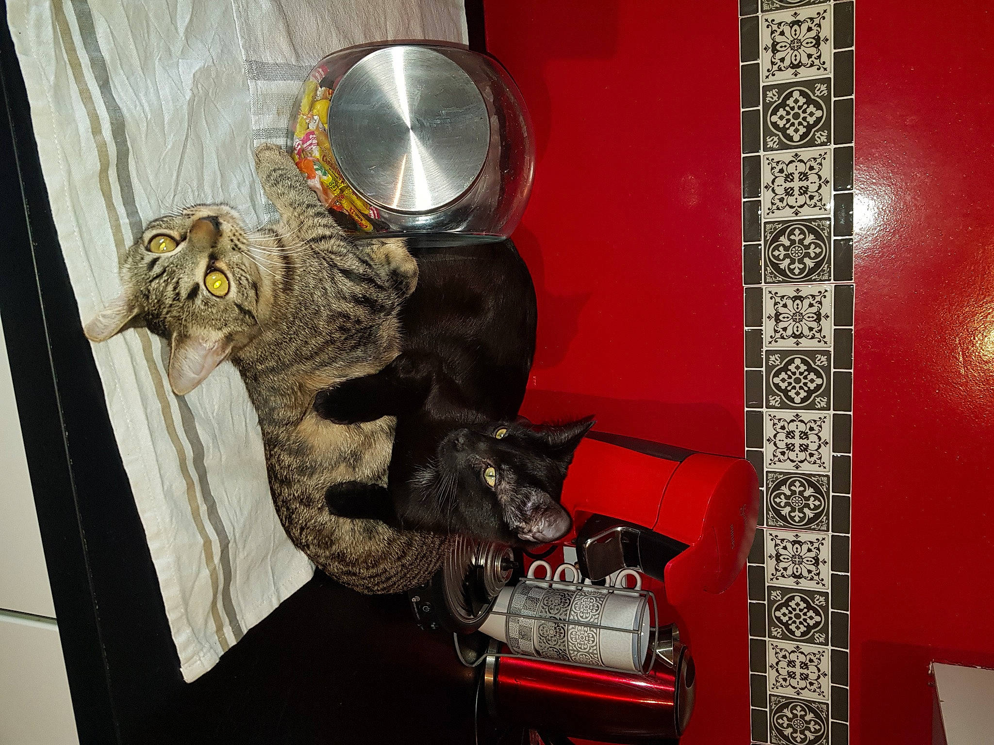 Oméga participe au concours pour gagner de l'argent avec cette photo : art