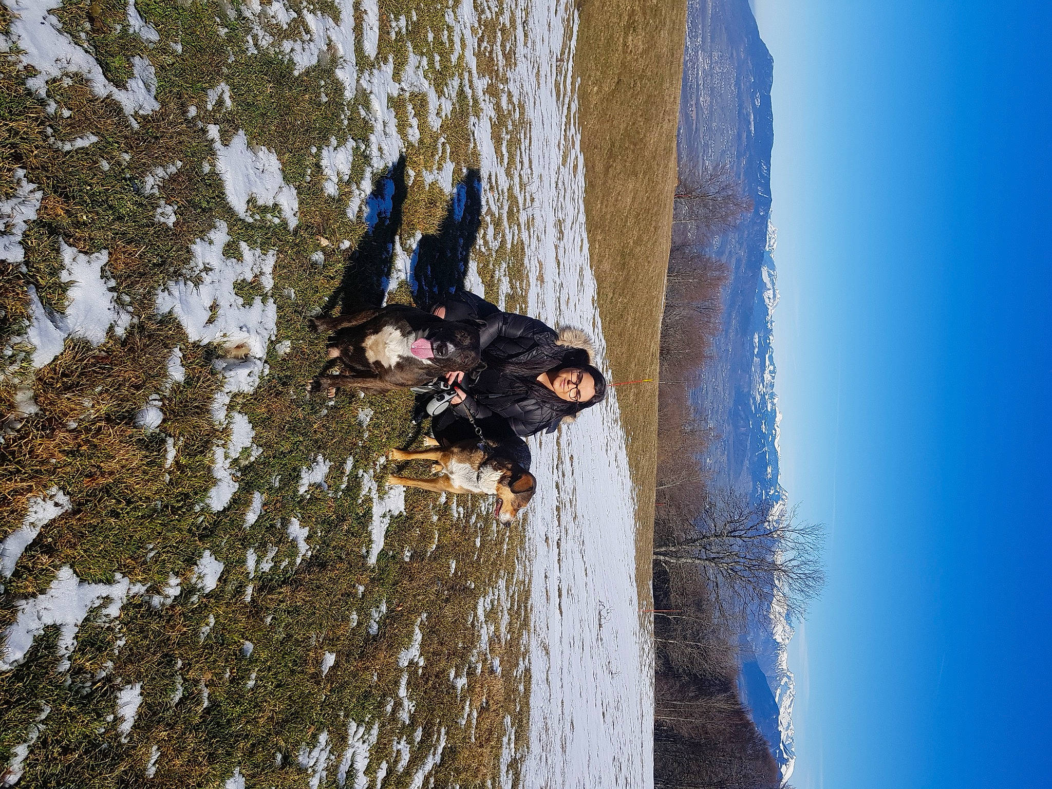 Fidji participe au concours pour gagner de l'argent avec cette photo : reflection, tree, water, winter
