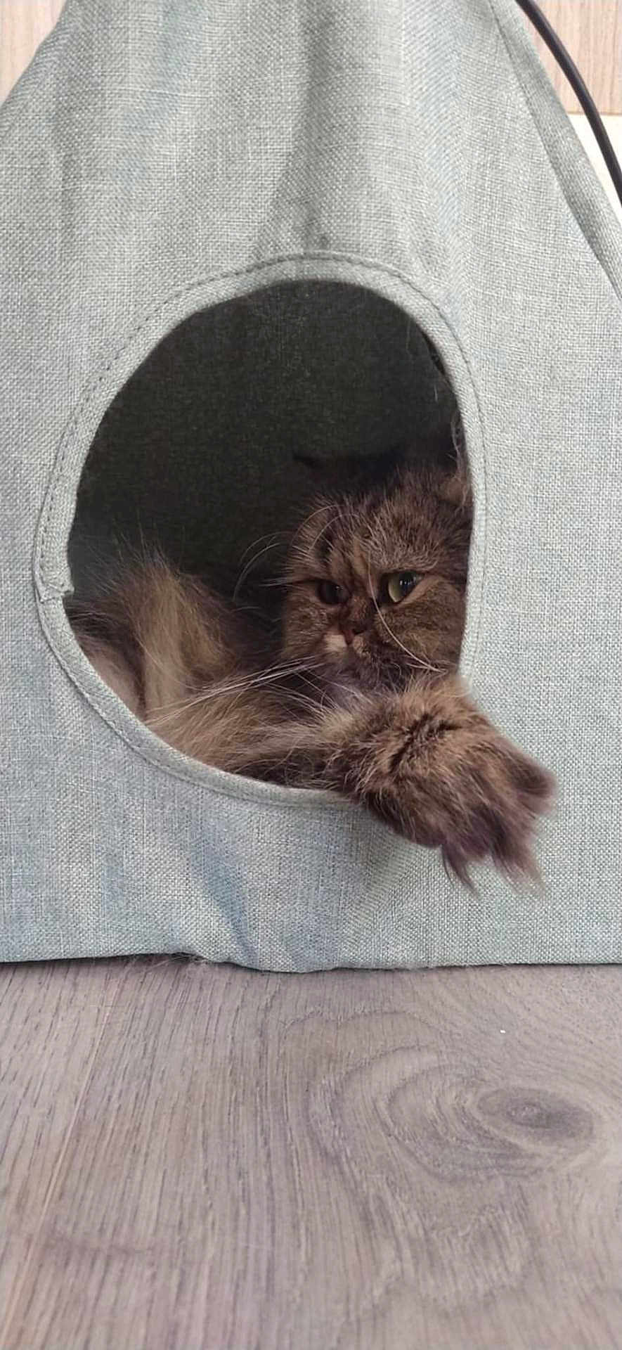 Lili