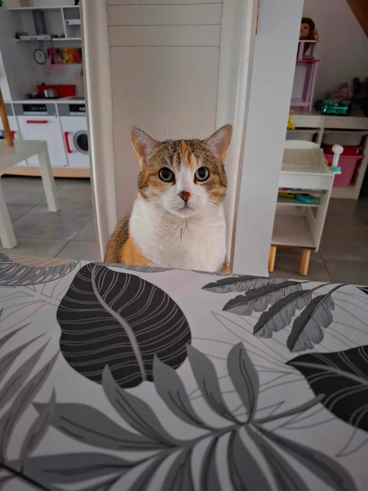 Chanel participe au concours pour gagner de l'argent avec cette photo : cat, calico_cat, table, tablecloth, leaf_pattern, kitchen, chair, floor_tiles, furniture, indoor, curious, pet, animal, domestic, home, play_area, toy, white, brown, orange