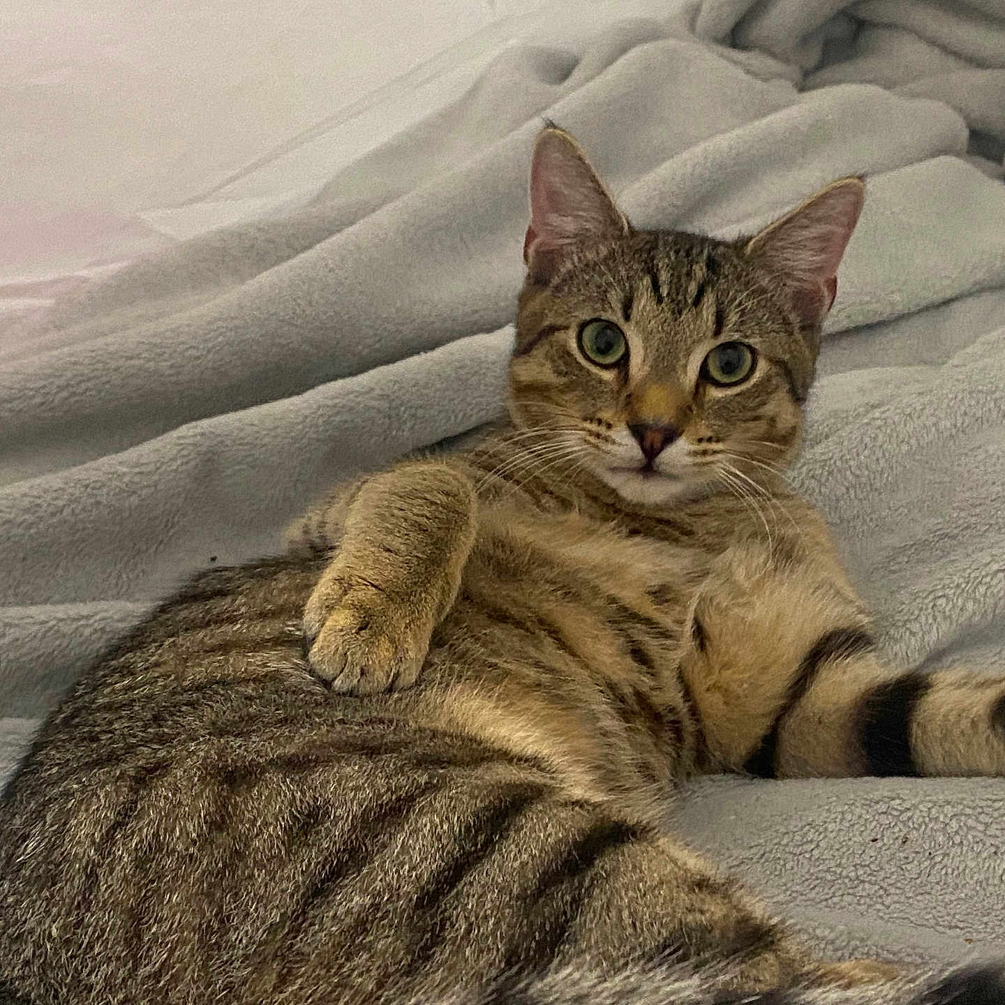 Cozmo