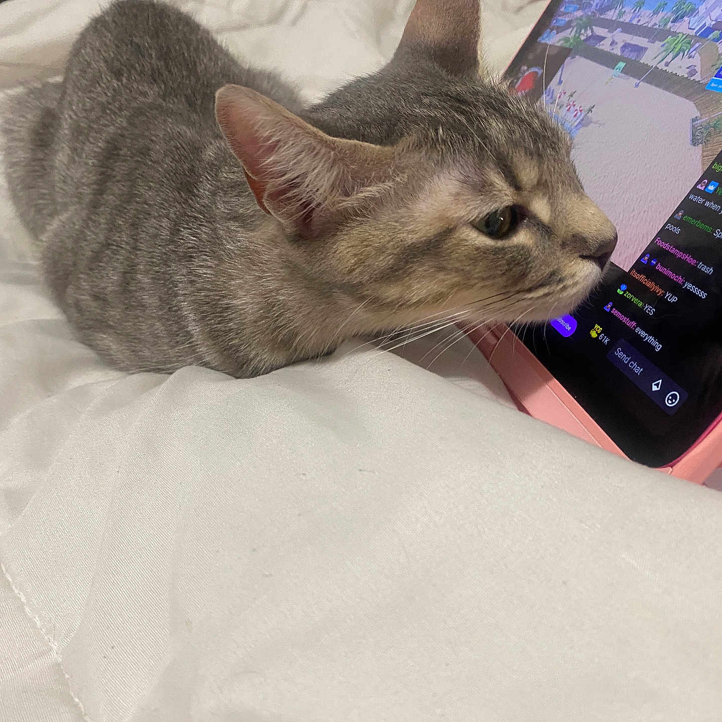 Luna