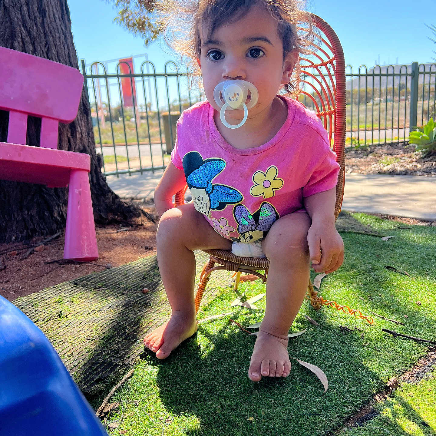 Kymarni Taylor is registered to the contest to win money with this photo: baby, backyard, bench, face, furniture, grass, head, lawn, nature, outdoorplayarea, outdoors, park, person, photography, plant, playarea, portrait, sitting, summer, yard