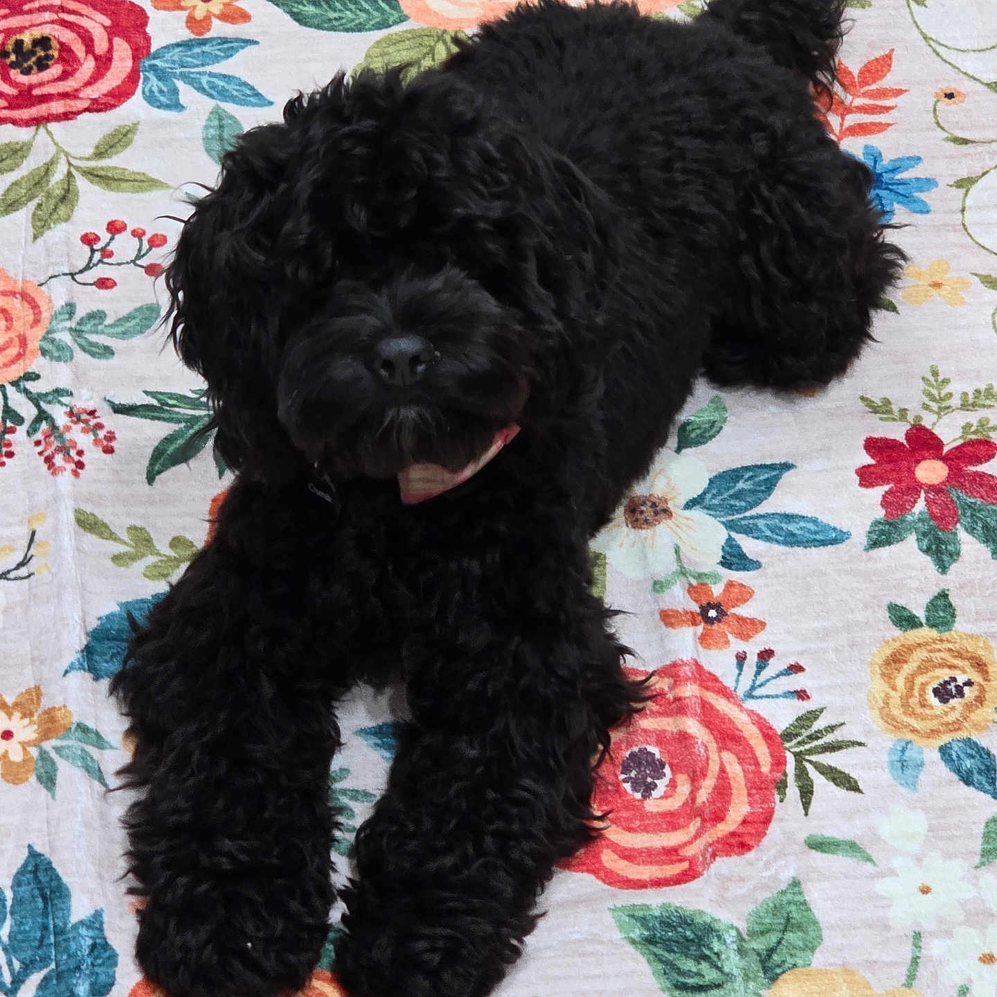 Sadie