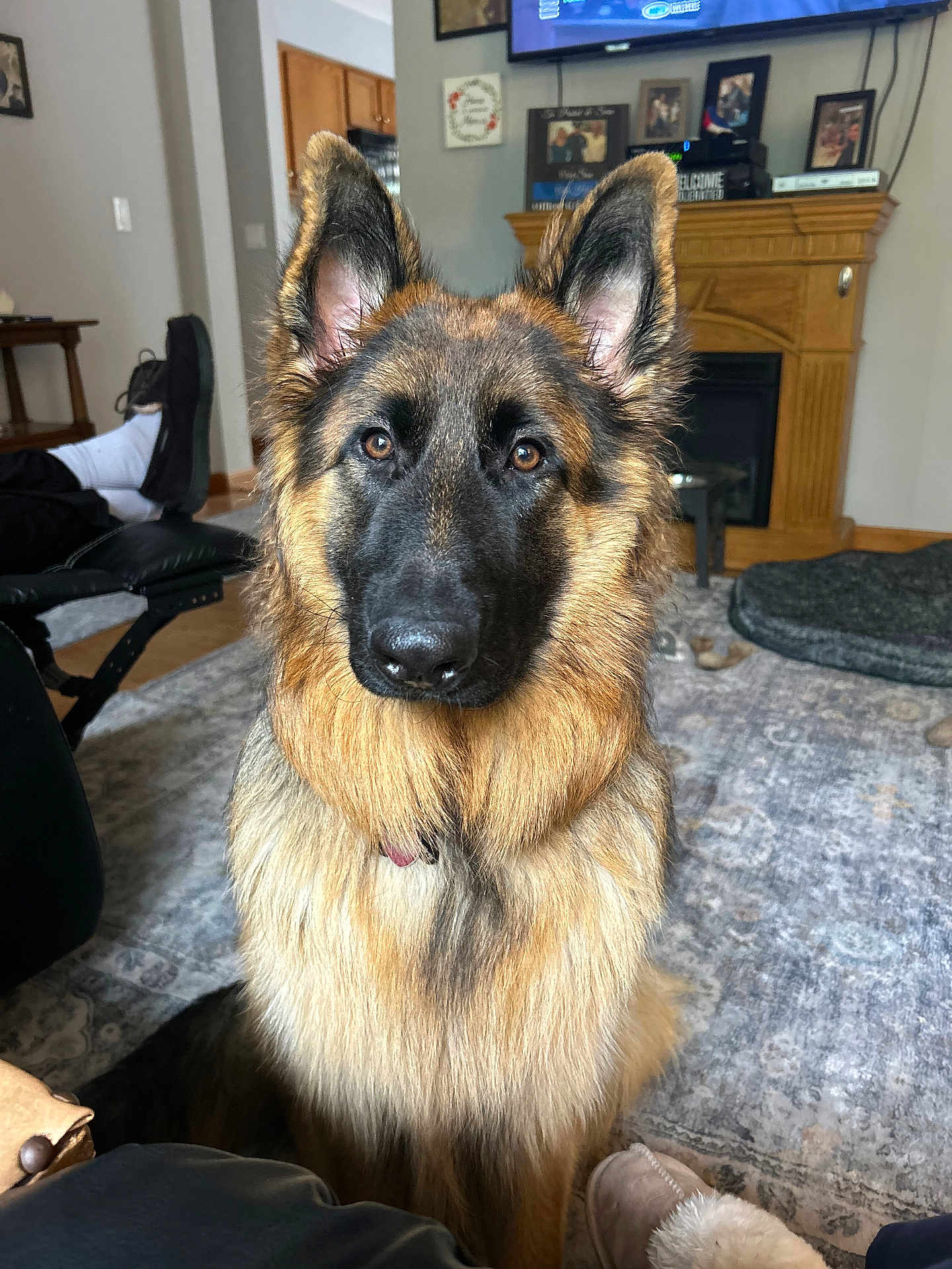 Sierra