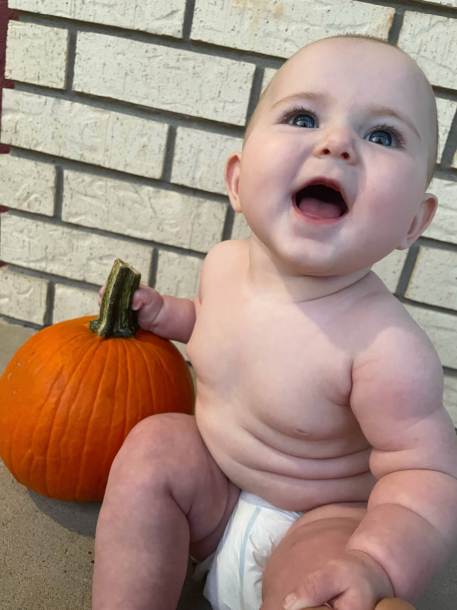 Lyra joined the competition — help win amazing prizes! arm, baby, calabaza, cheek, cucurbita, eye, face, facial_expression, hand, head, human_body, iris, lip, mouth, nose, organ, person, plant, pumpkin, smile